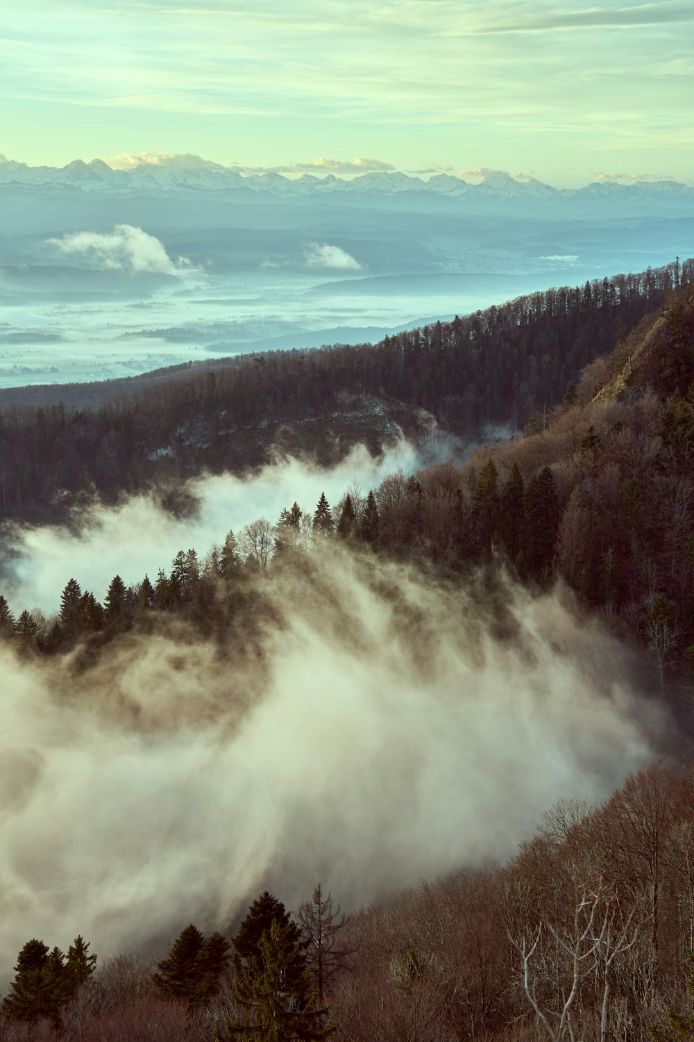 a view of a mountain covered in fog