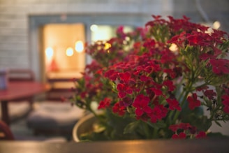 A warm, sunlit photo of a cozy family home surrounded by blooming flowers.
