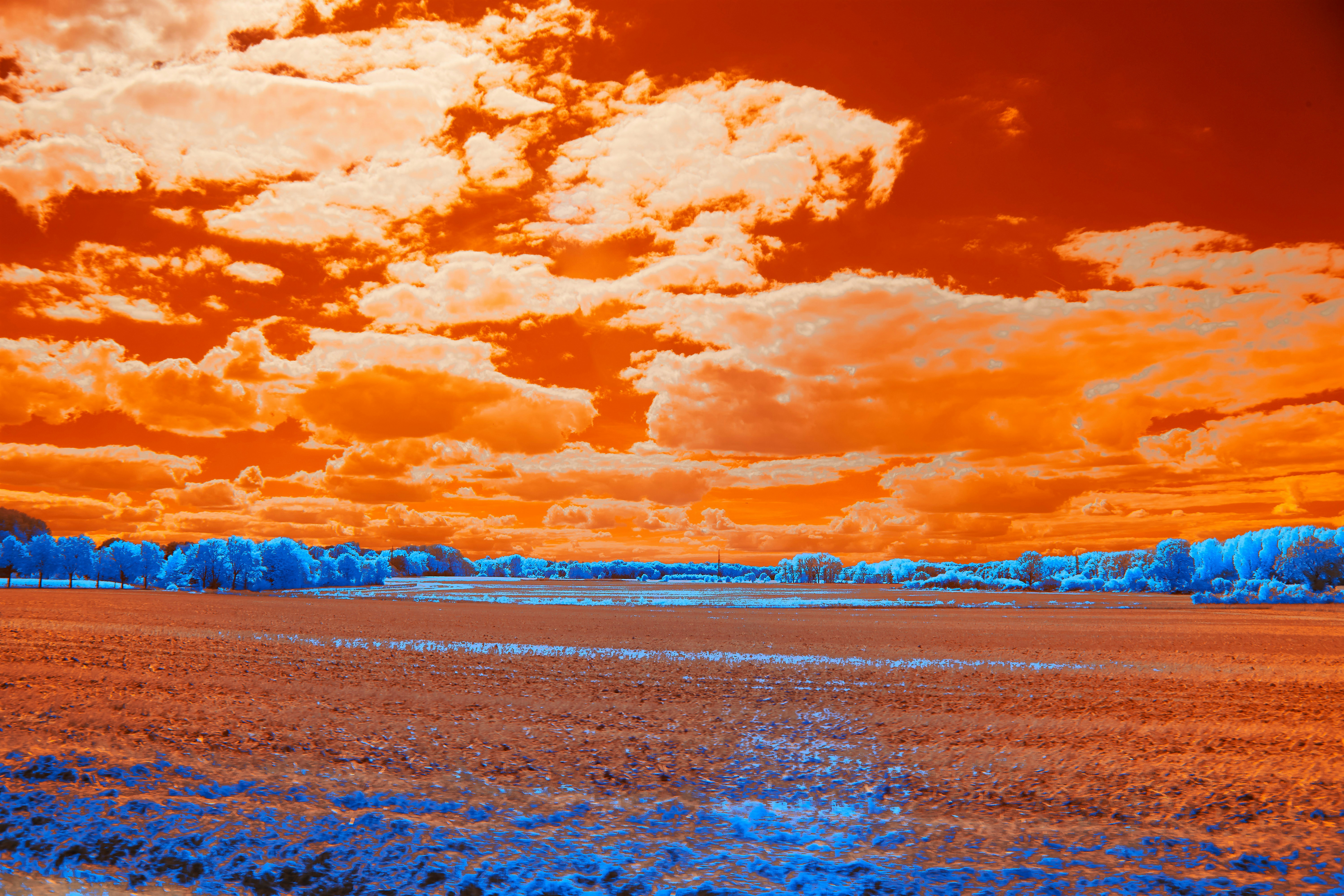 Photo by wolfgang_hasselmann