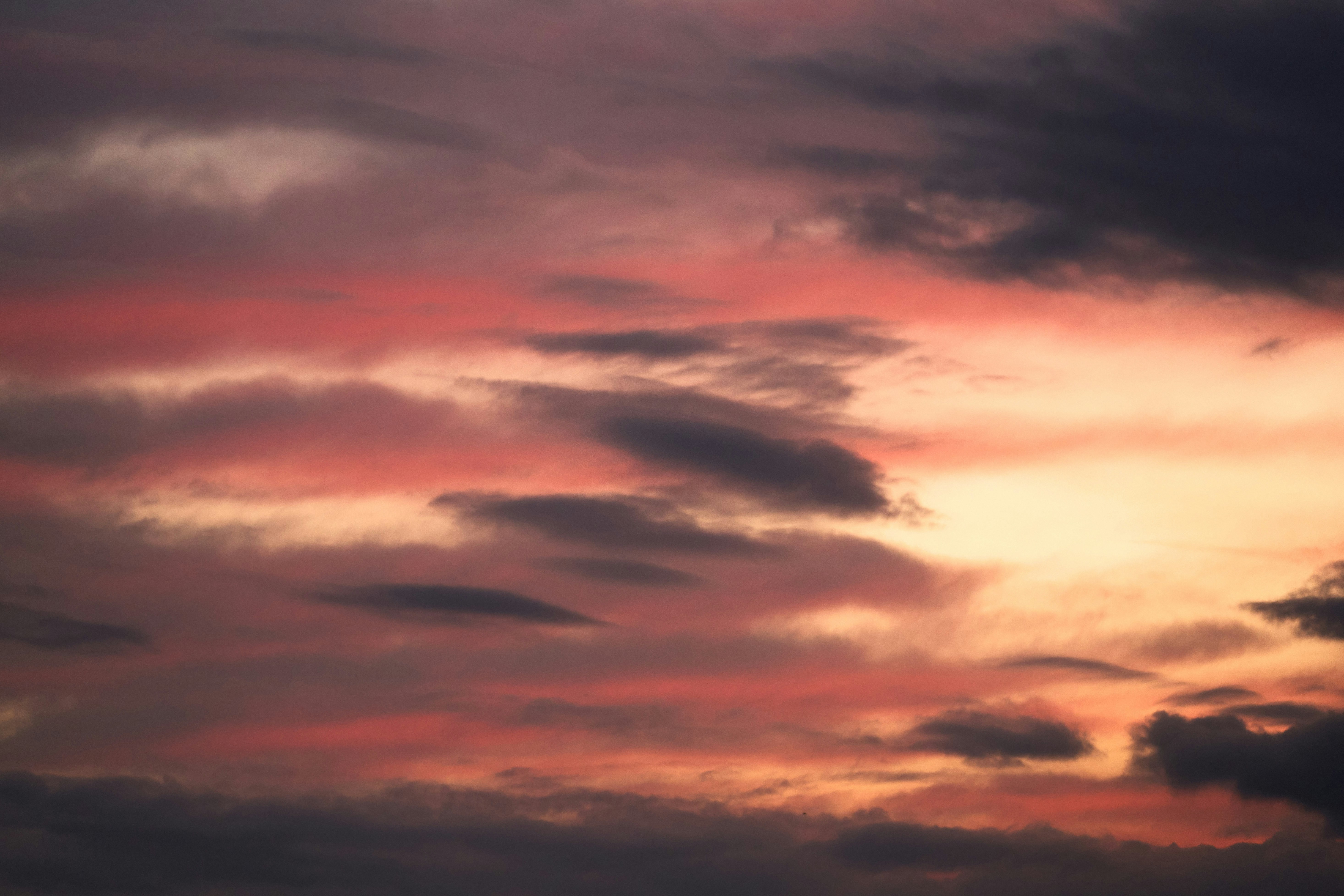 Photo by wolfgang_hasselmann