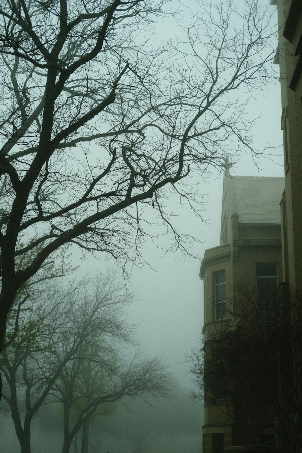 a foggy street with a clock tower in the distance