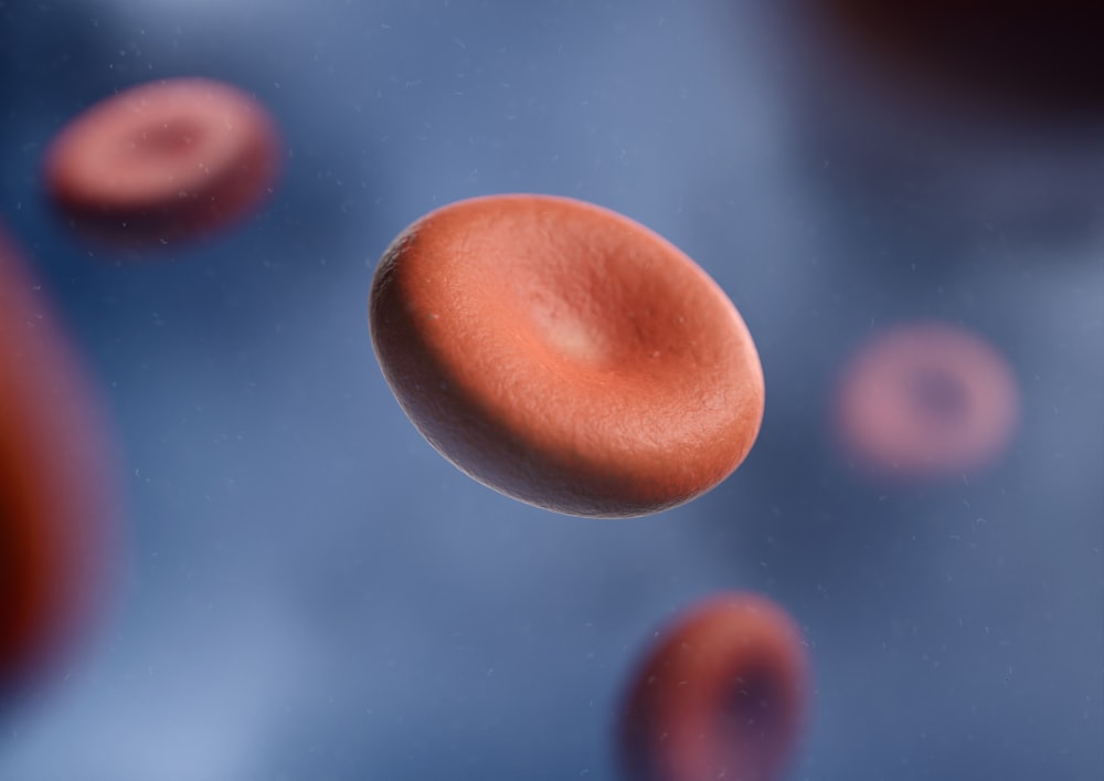 a group of red blood cells in a vein