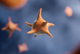 a close up of a starfish under a blue sky