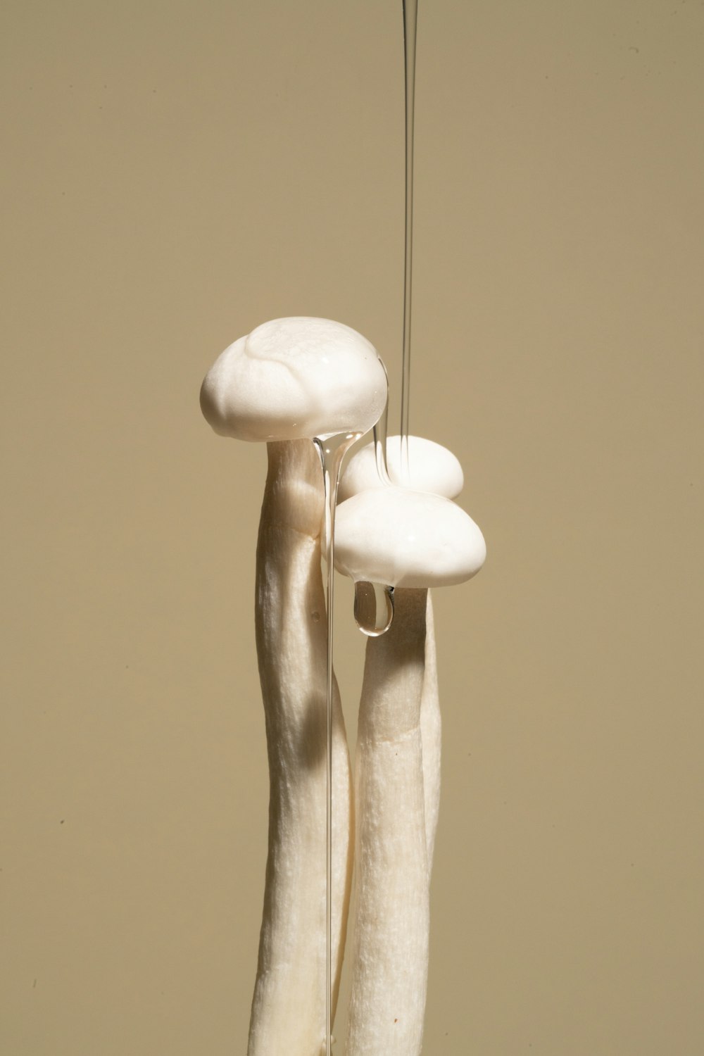 a couple of white mushrooms hanging from a string