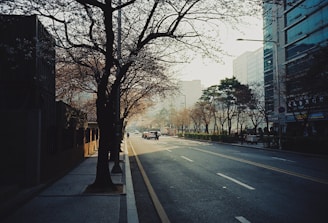 A cinematic still of a quiet Copenhagen street at dawn, soft light casting long shadows.