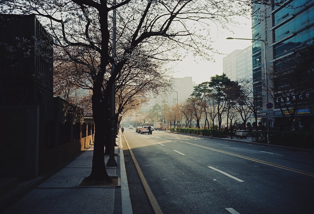 a street lined with tall buildings and trees