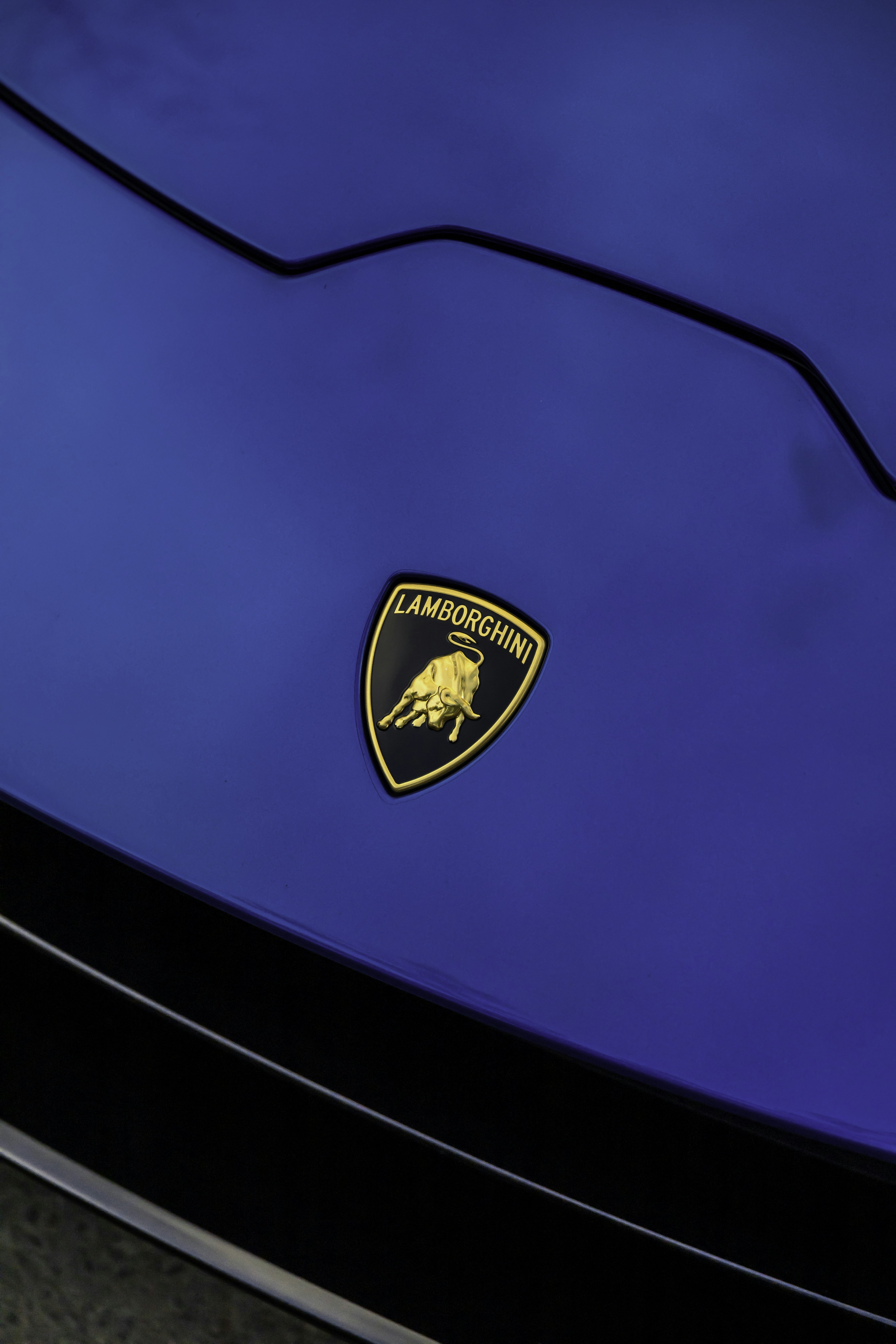 Photo by lonestarexotic