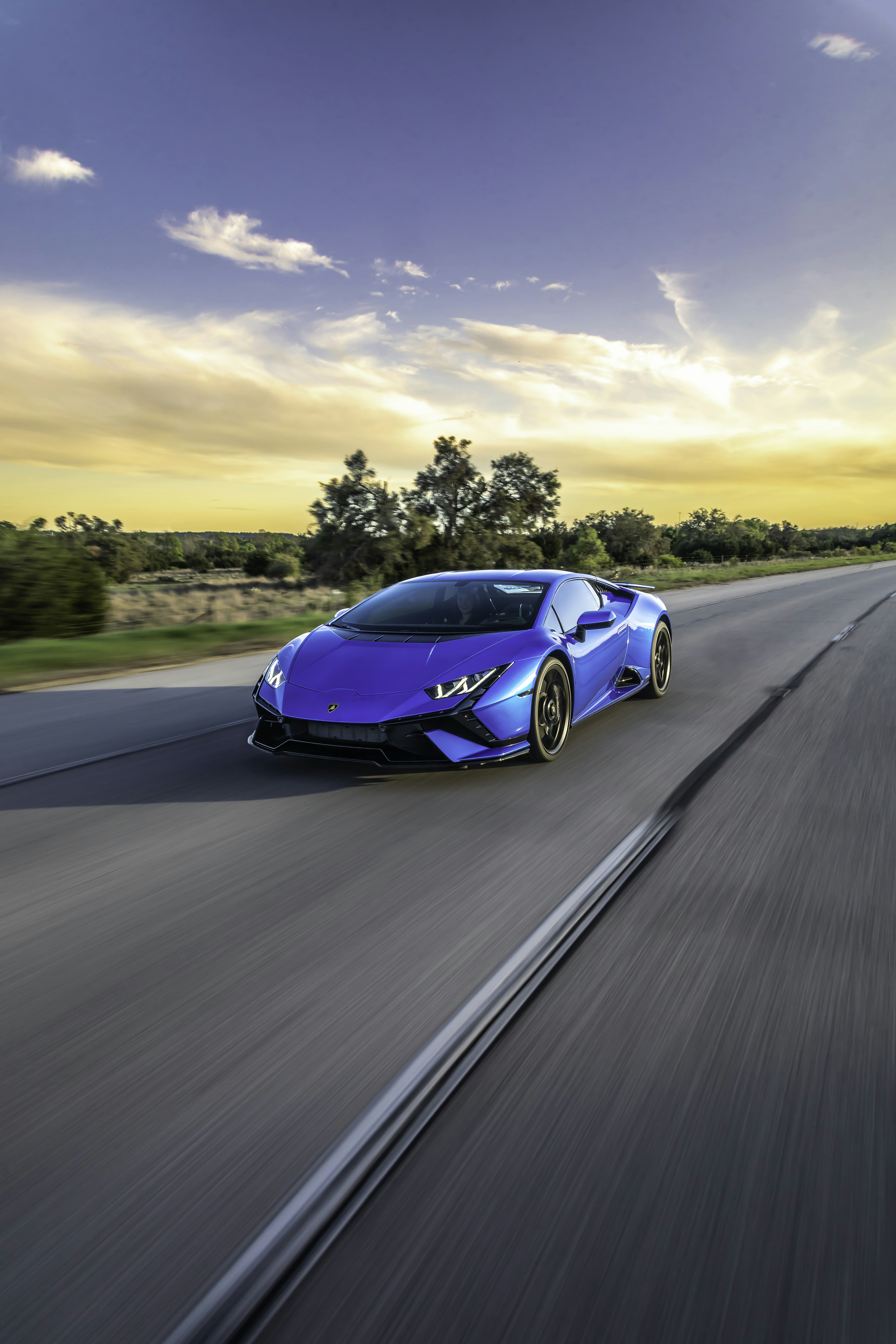 Photo by lonestarexotic