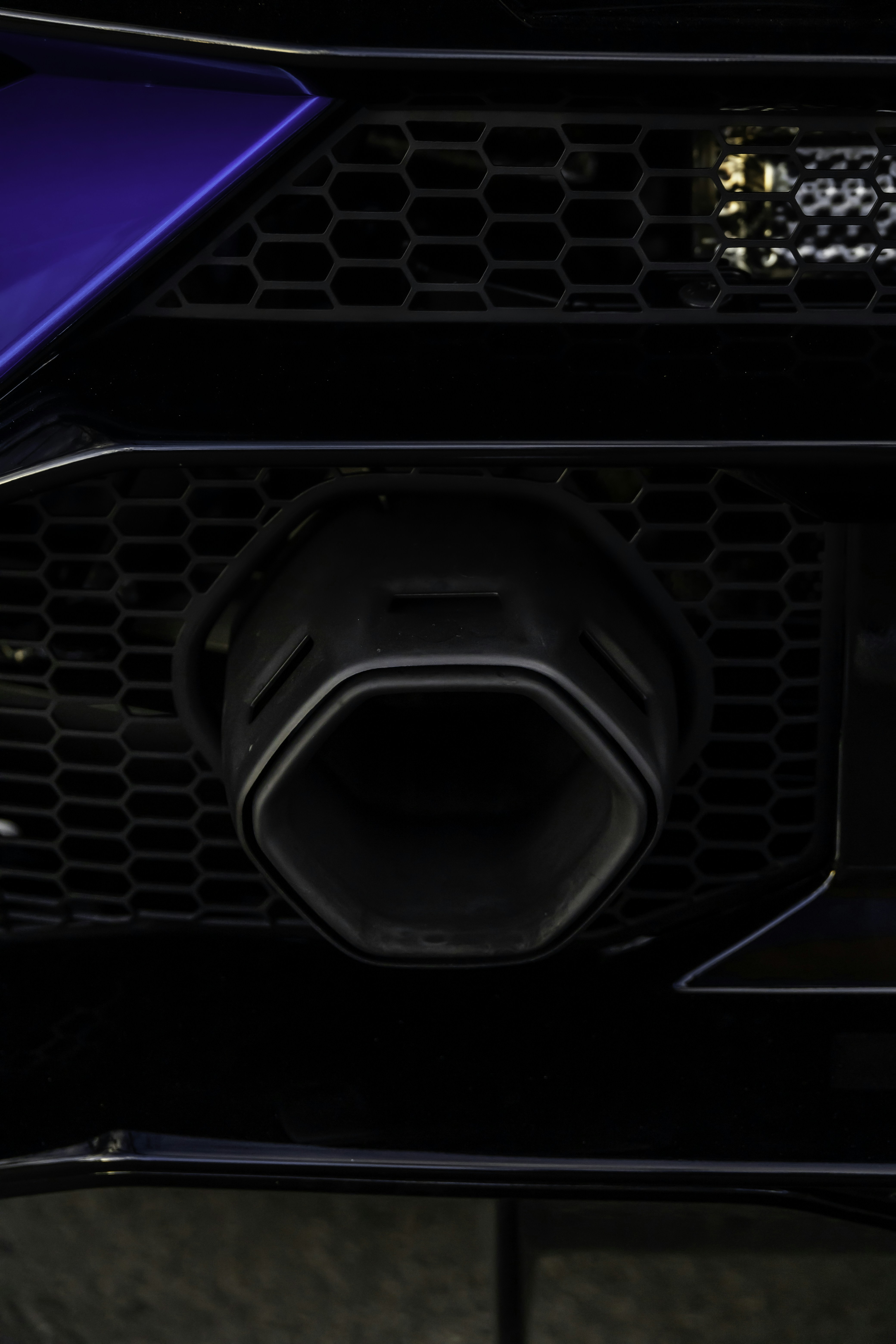 Photo by lonestarexotic