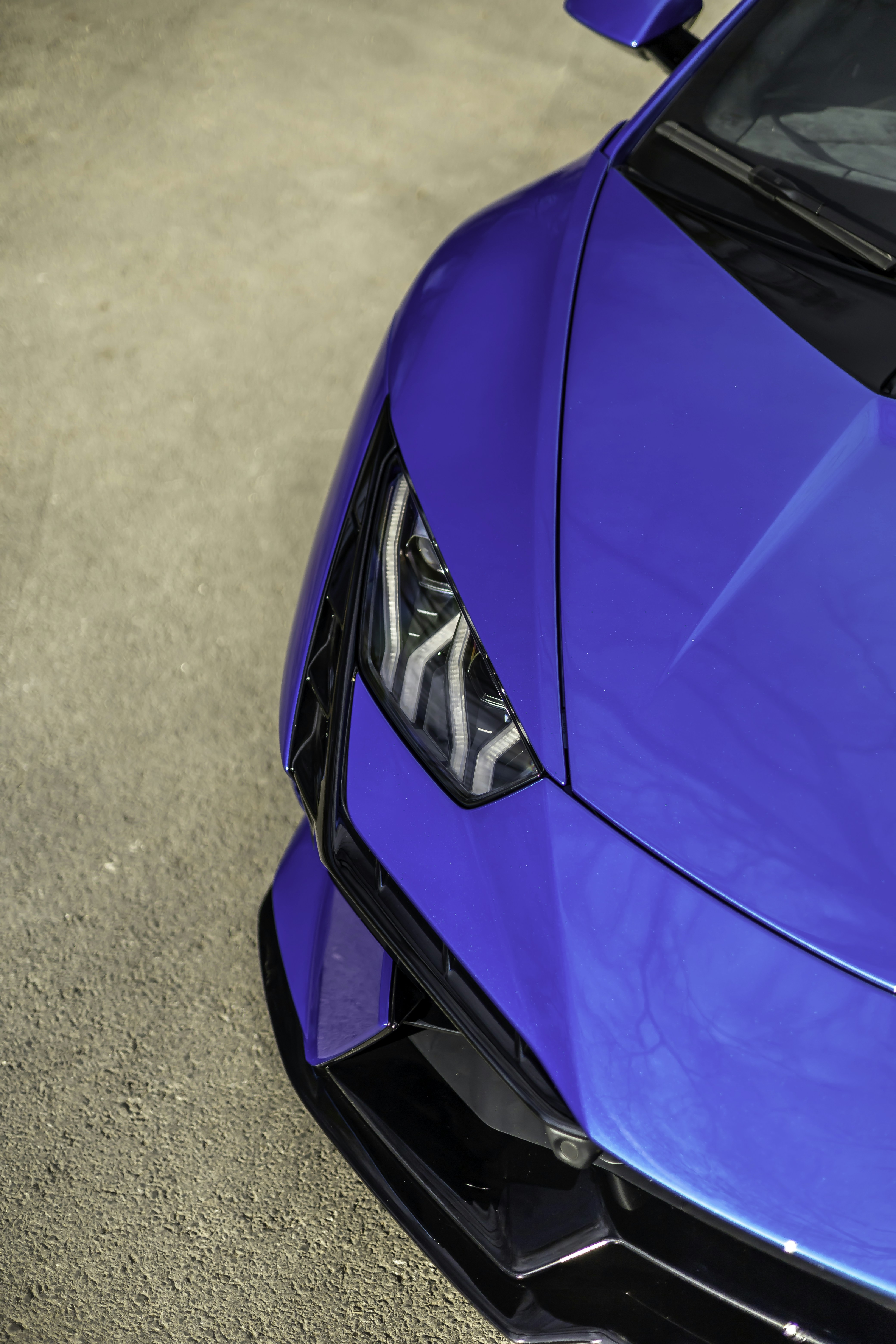 Photo by lonestarexotic