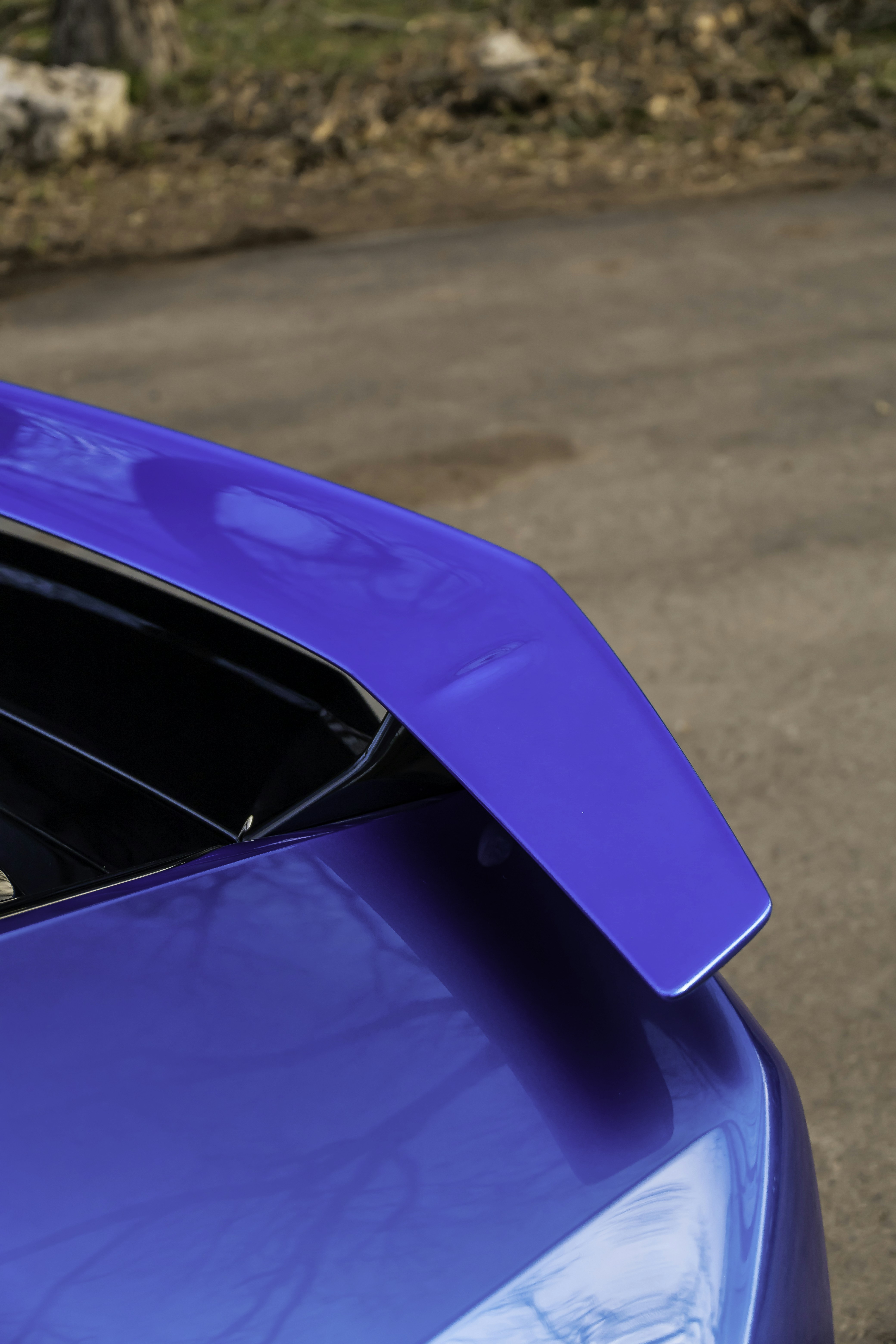 Photo by lonestarexotic