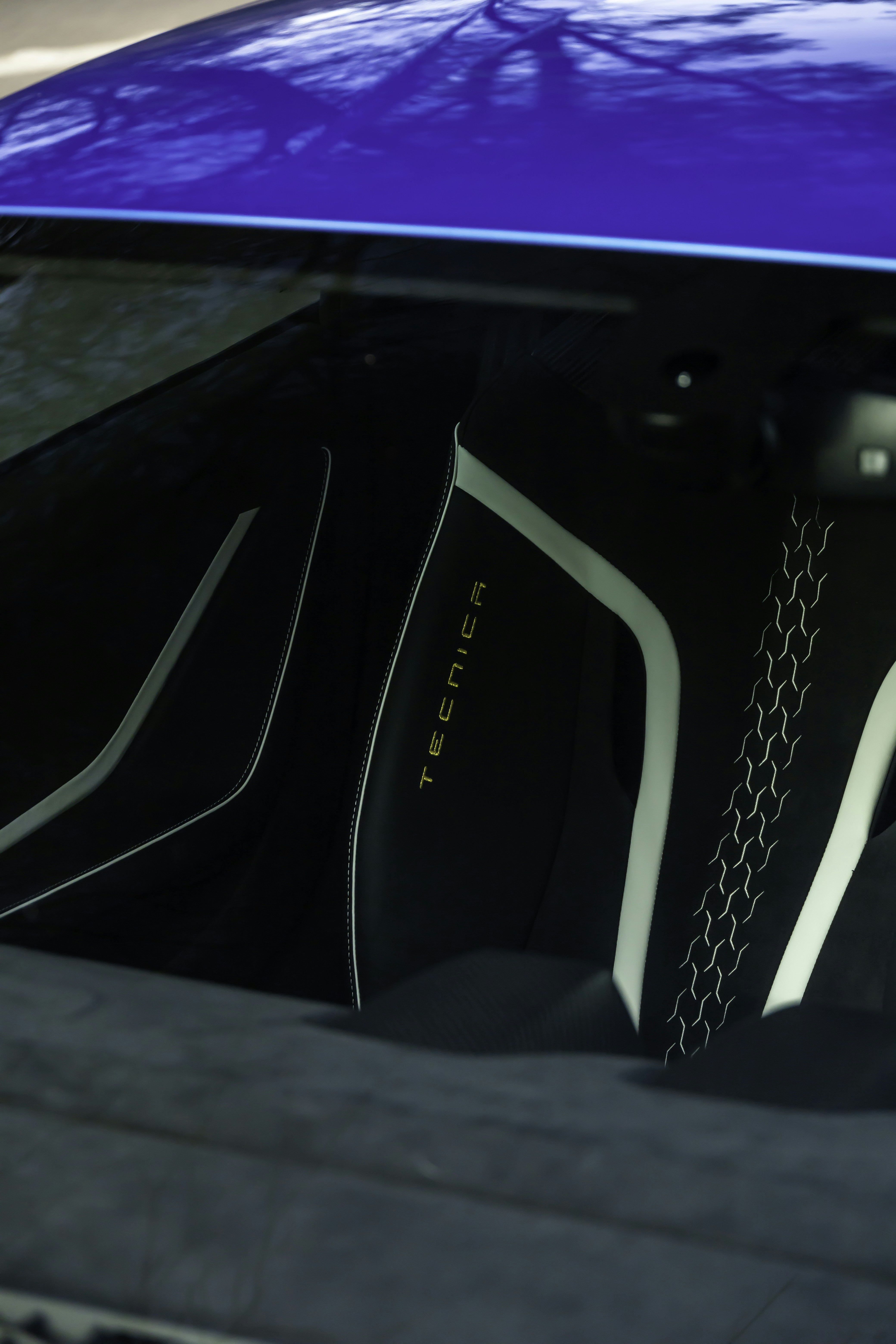 Photo by lonestarexotic