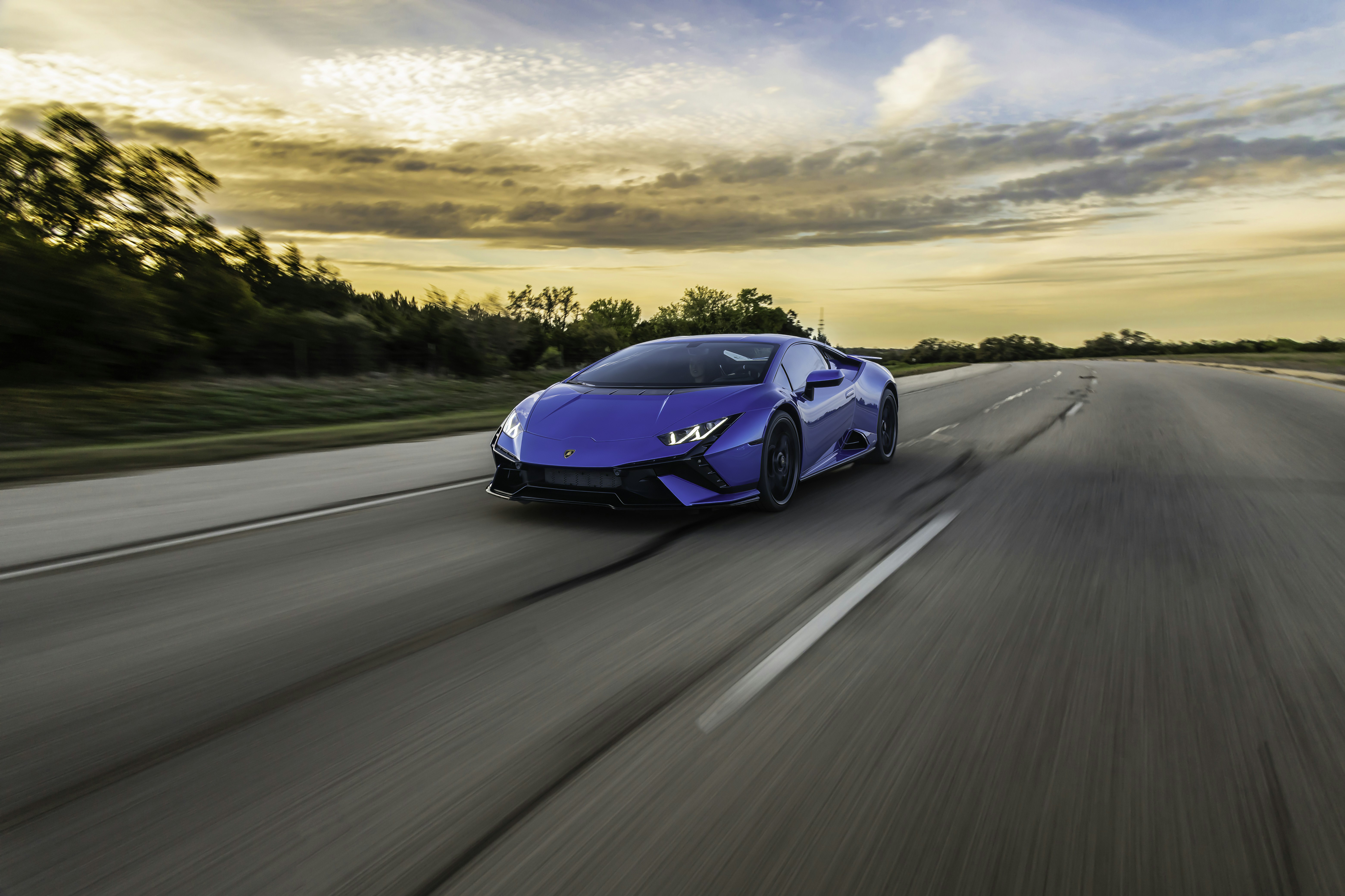 Photo by lonestarexotic