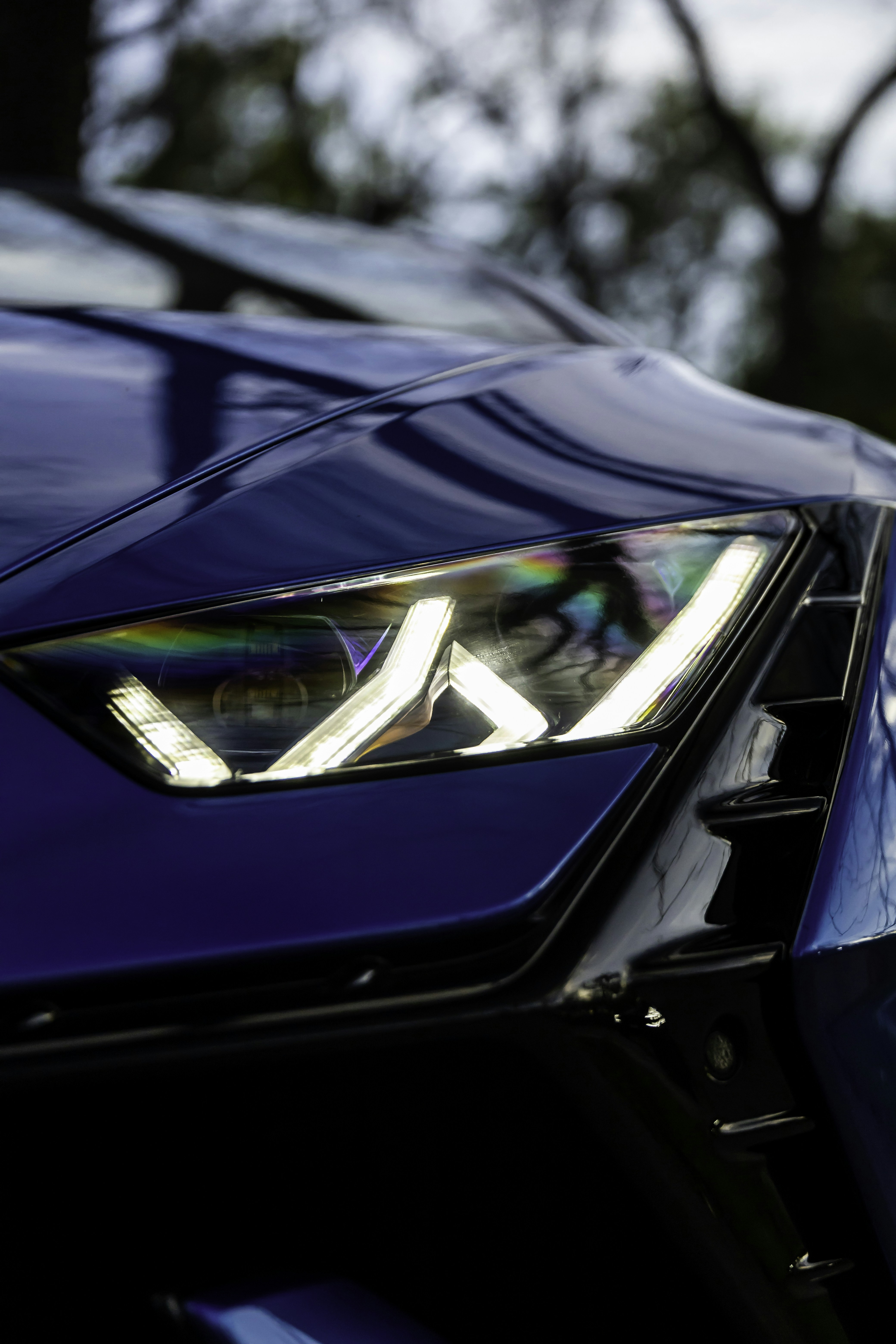 Photo by lonestarexotic