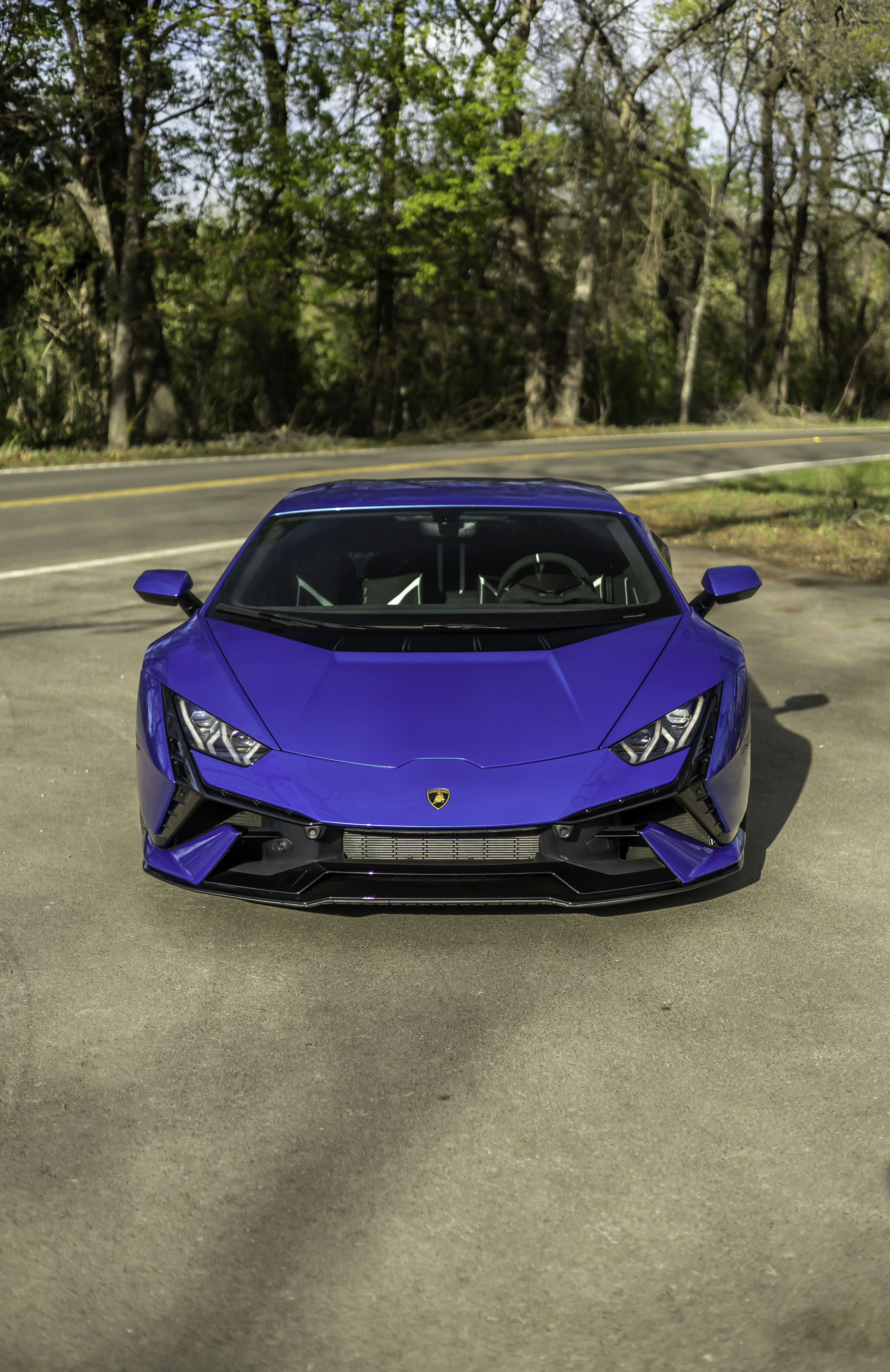 Photo by lonestarexotic