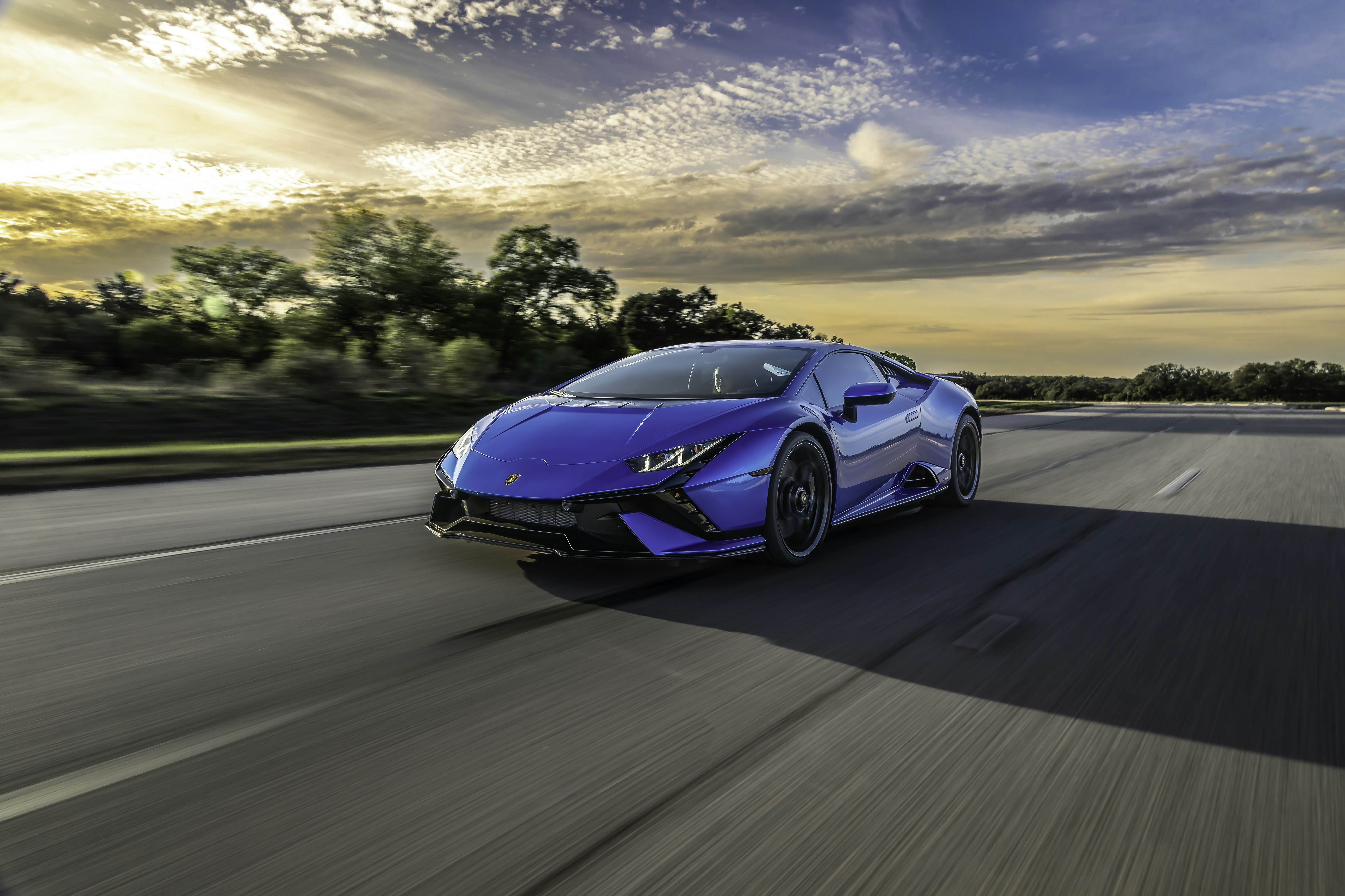 Photo by lonestarexotic