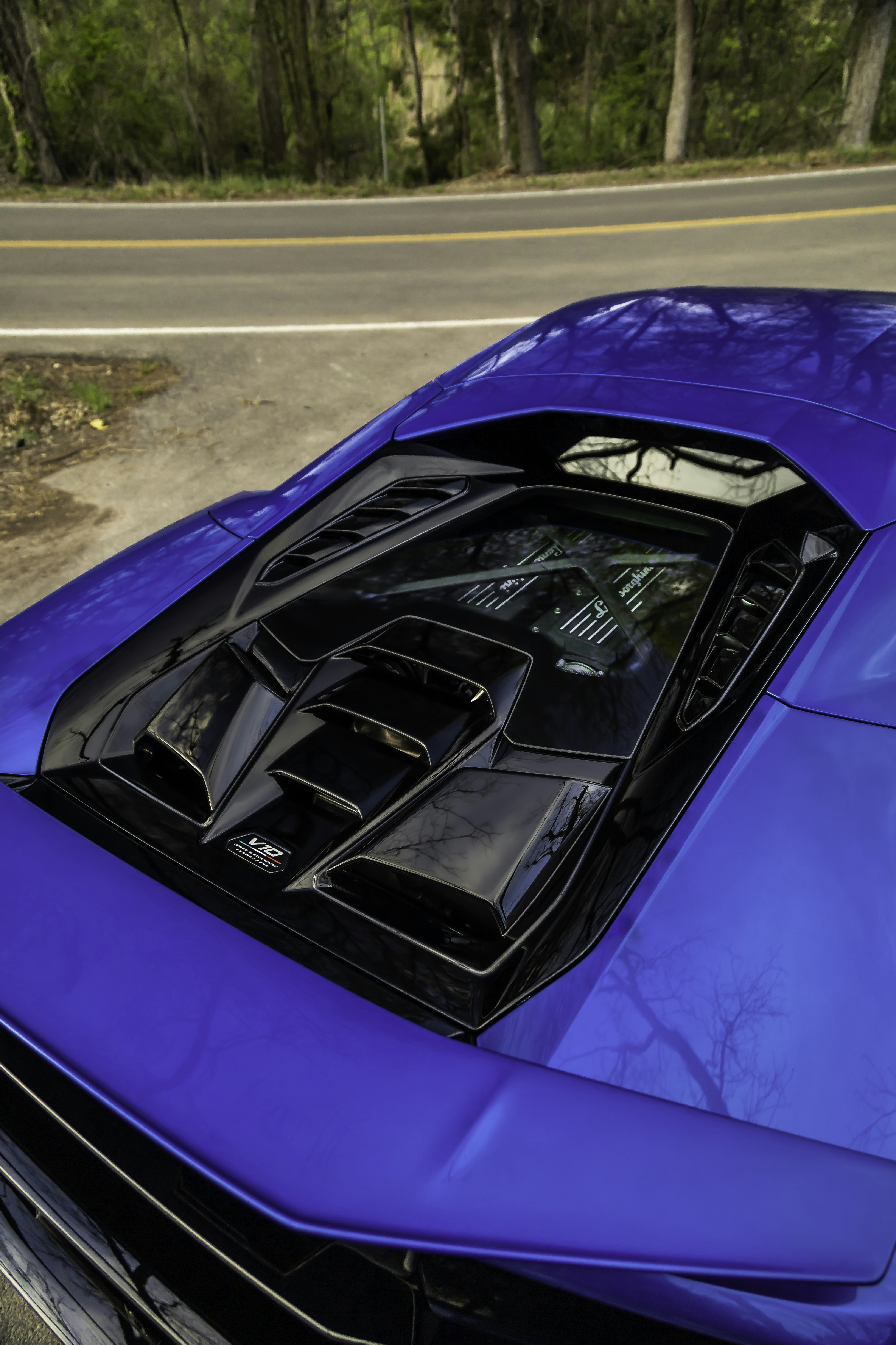 Photo by lonestarexotic