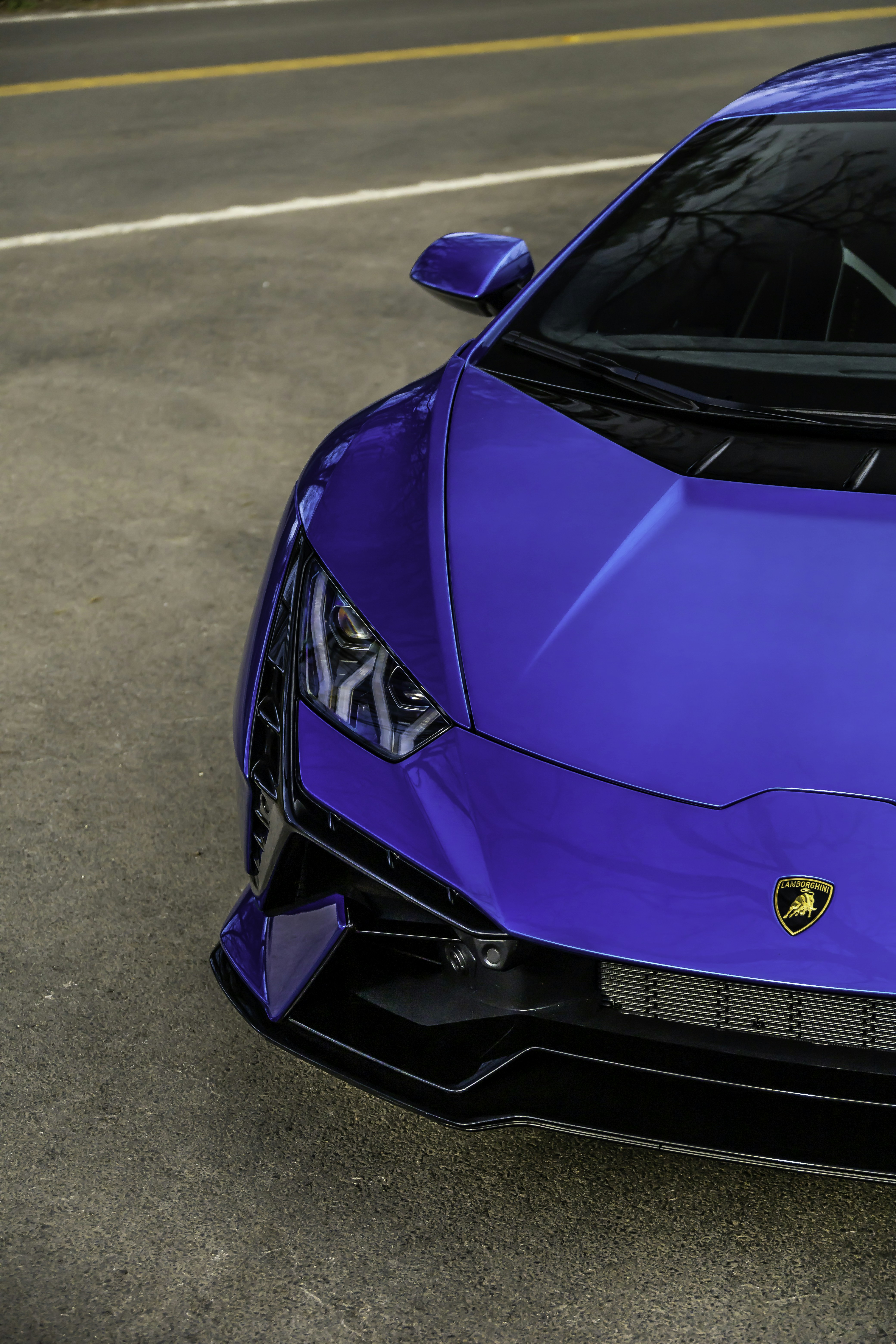 Photo by lonestarexotic