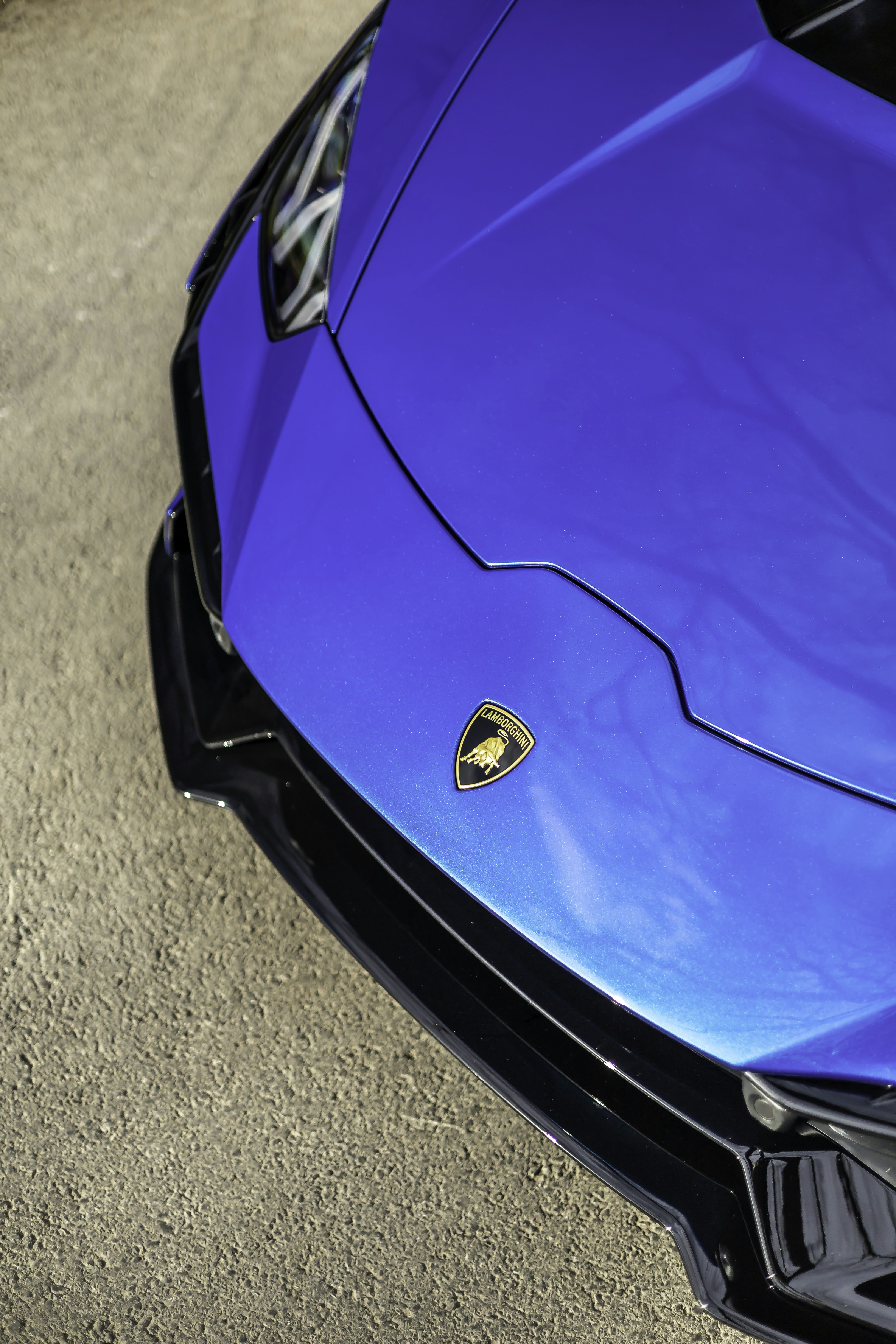 Photo by lonestarexotic