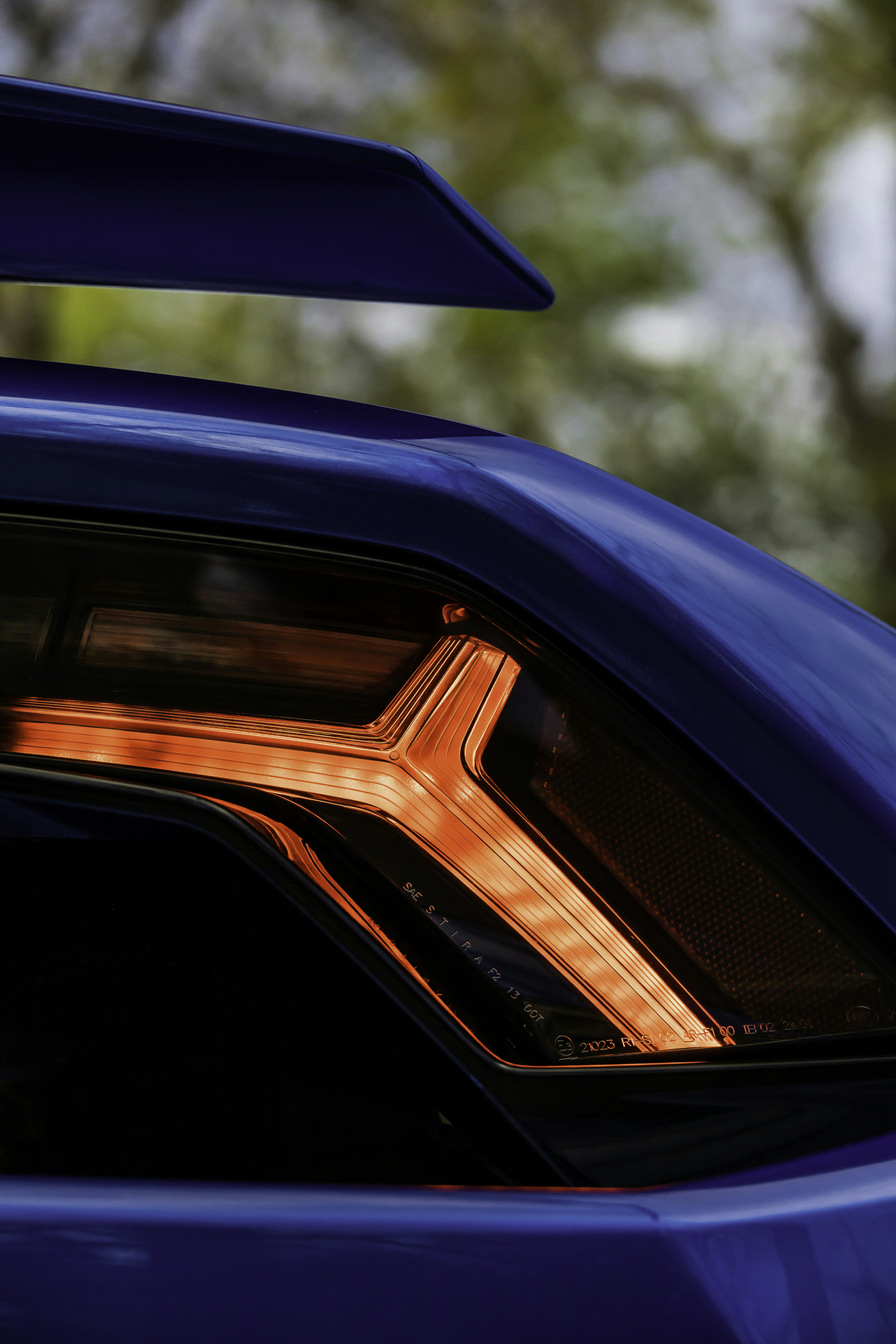 Photo by lonestarexotic