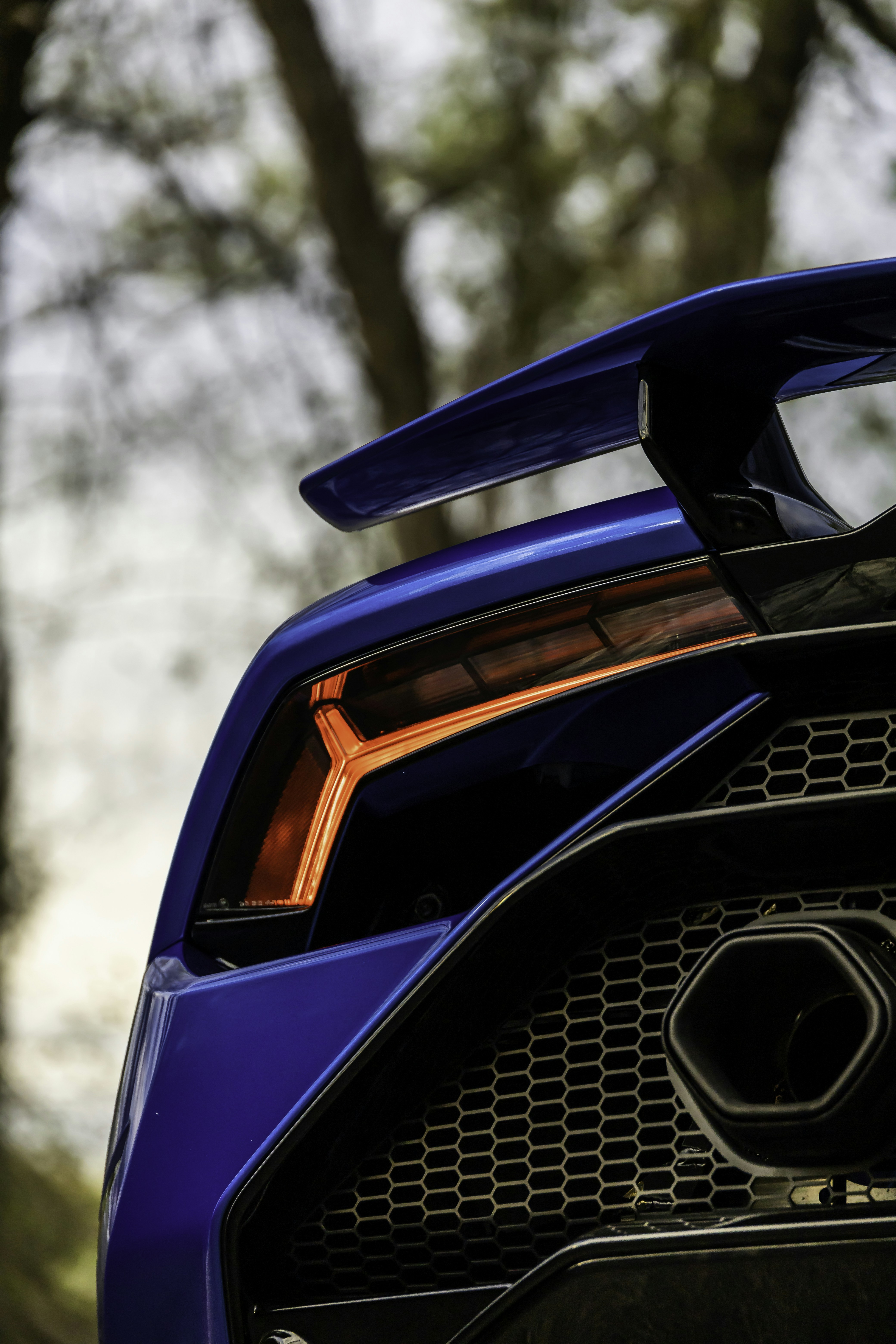 Photo by lonestarexotic