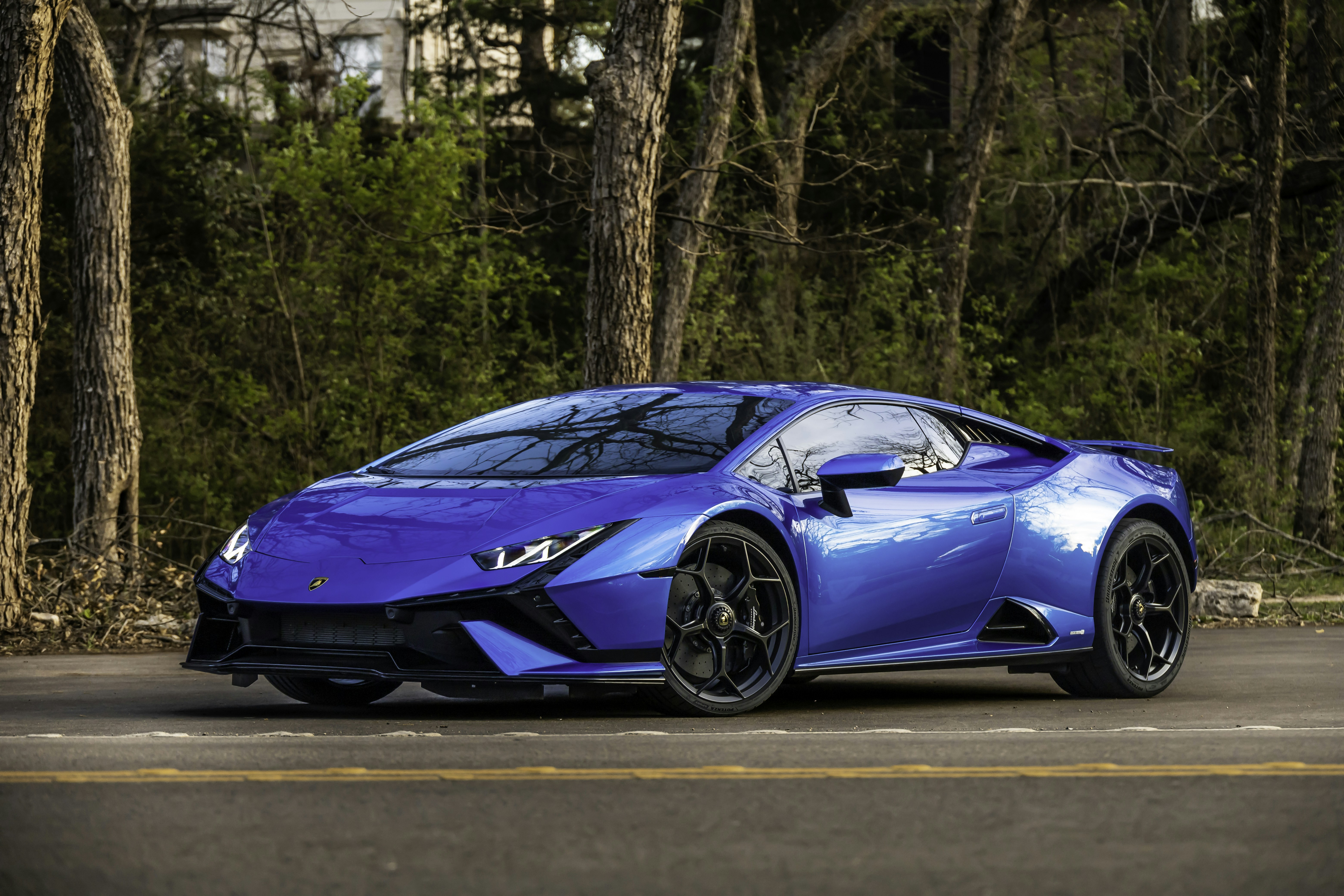 Photo by lonestarexotic