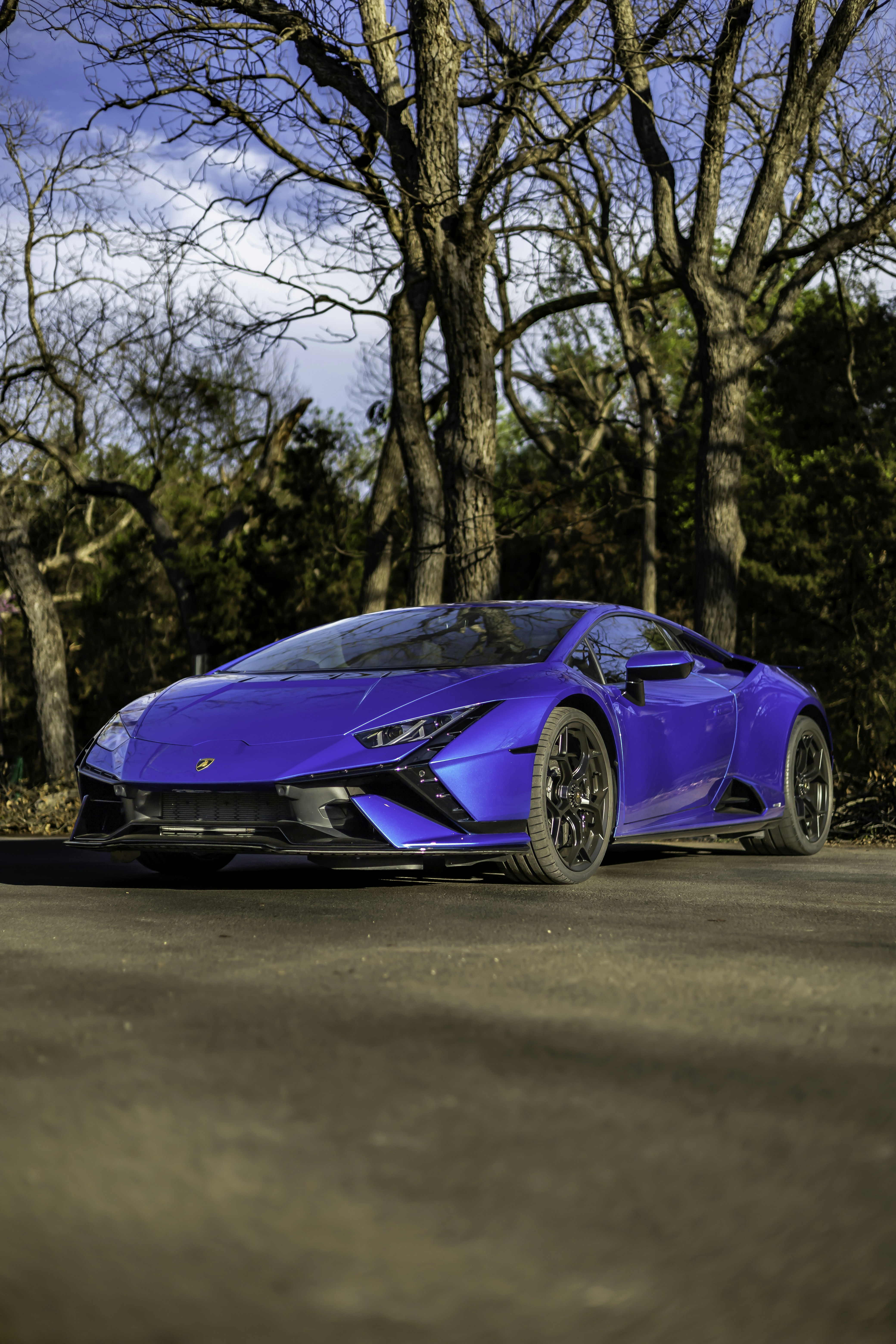 Photo by lonestarexotic