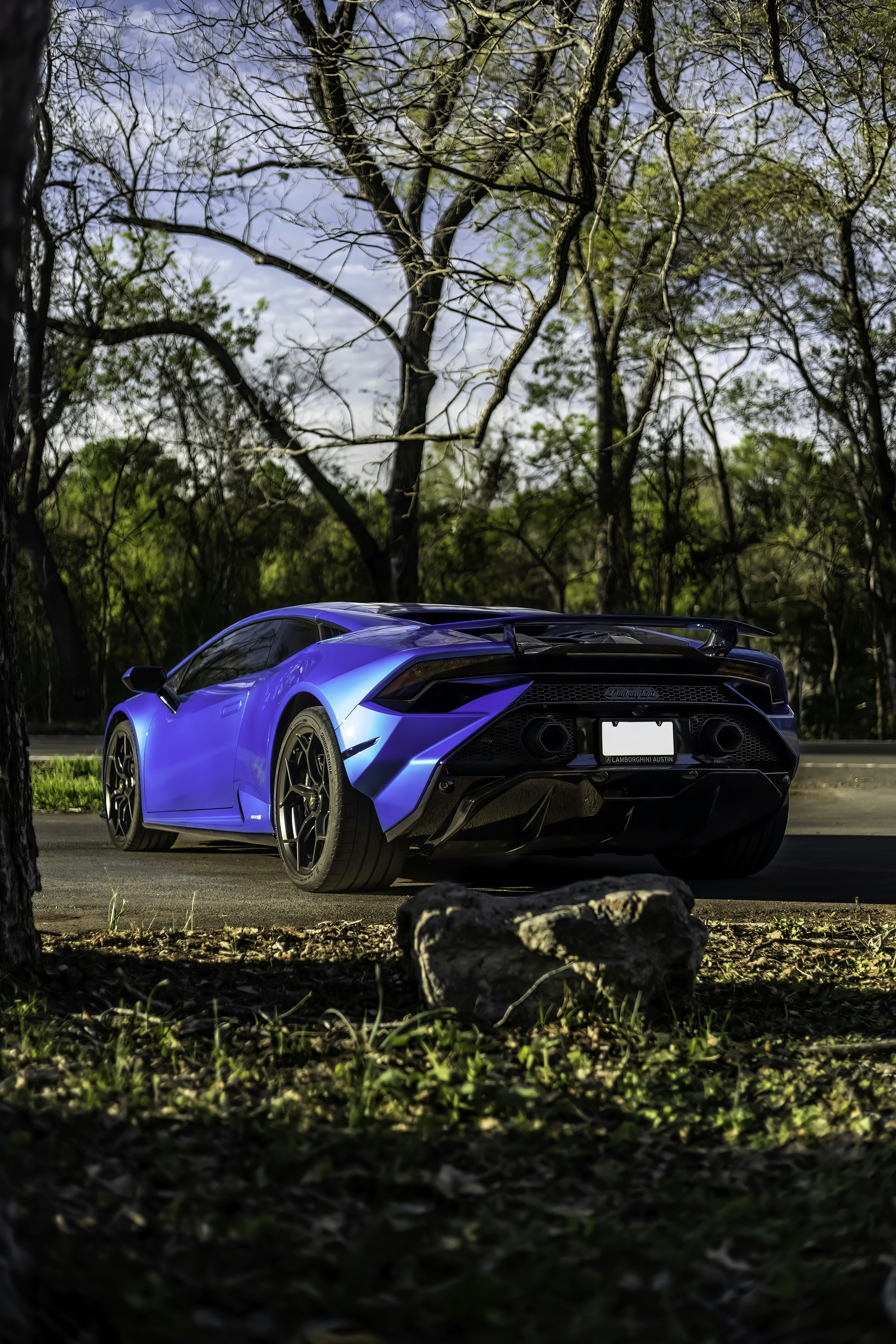 Photo by lonestarexotic