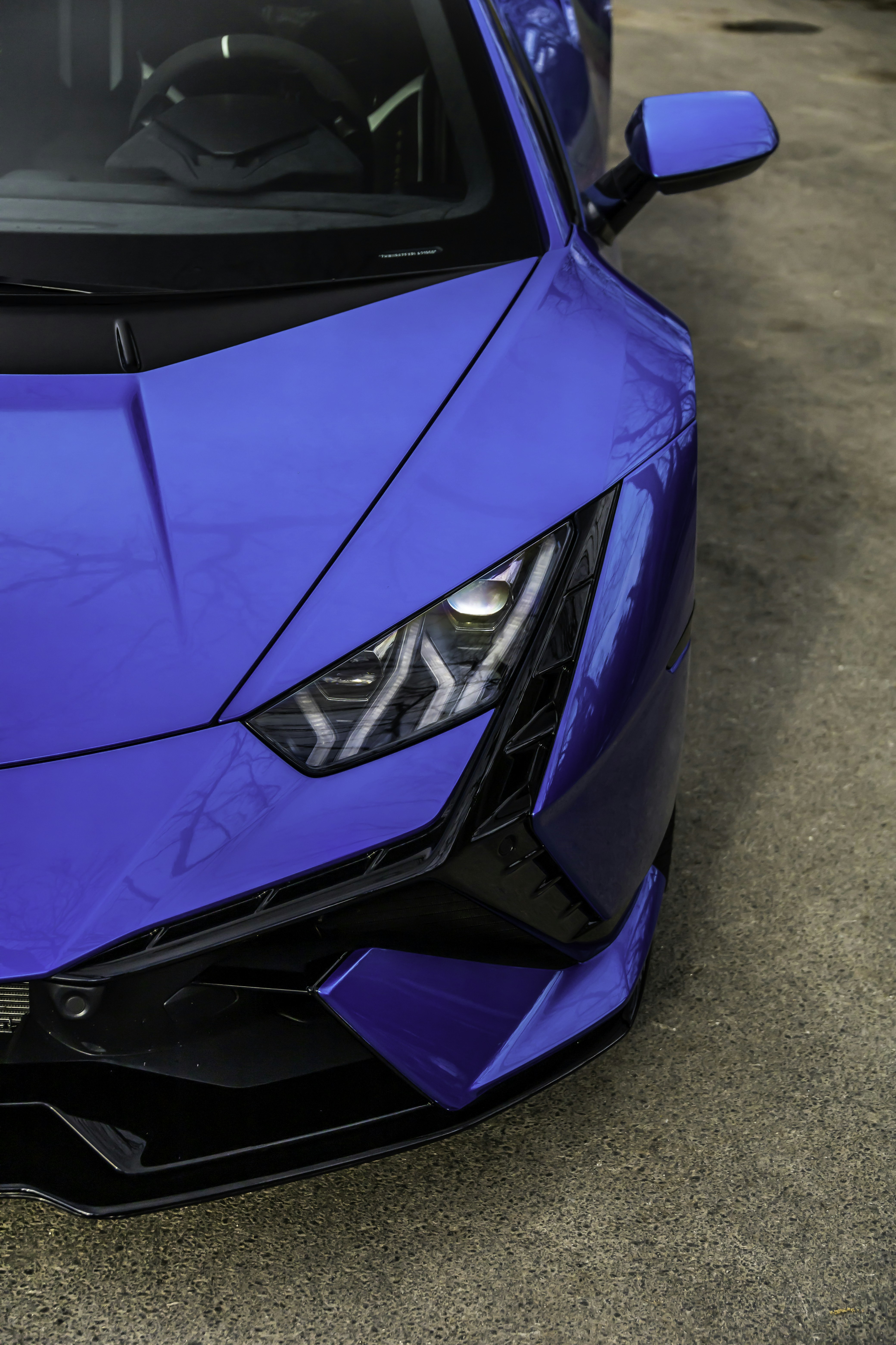 Photo by lonestarexotic