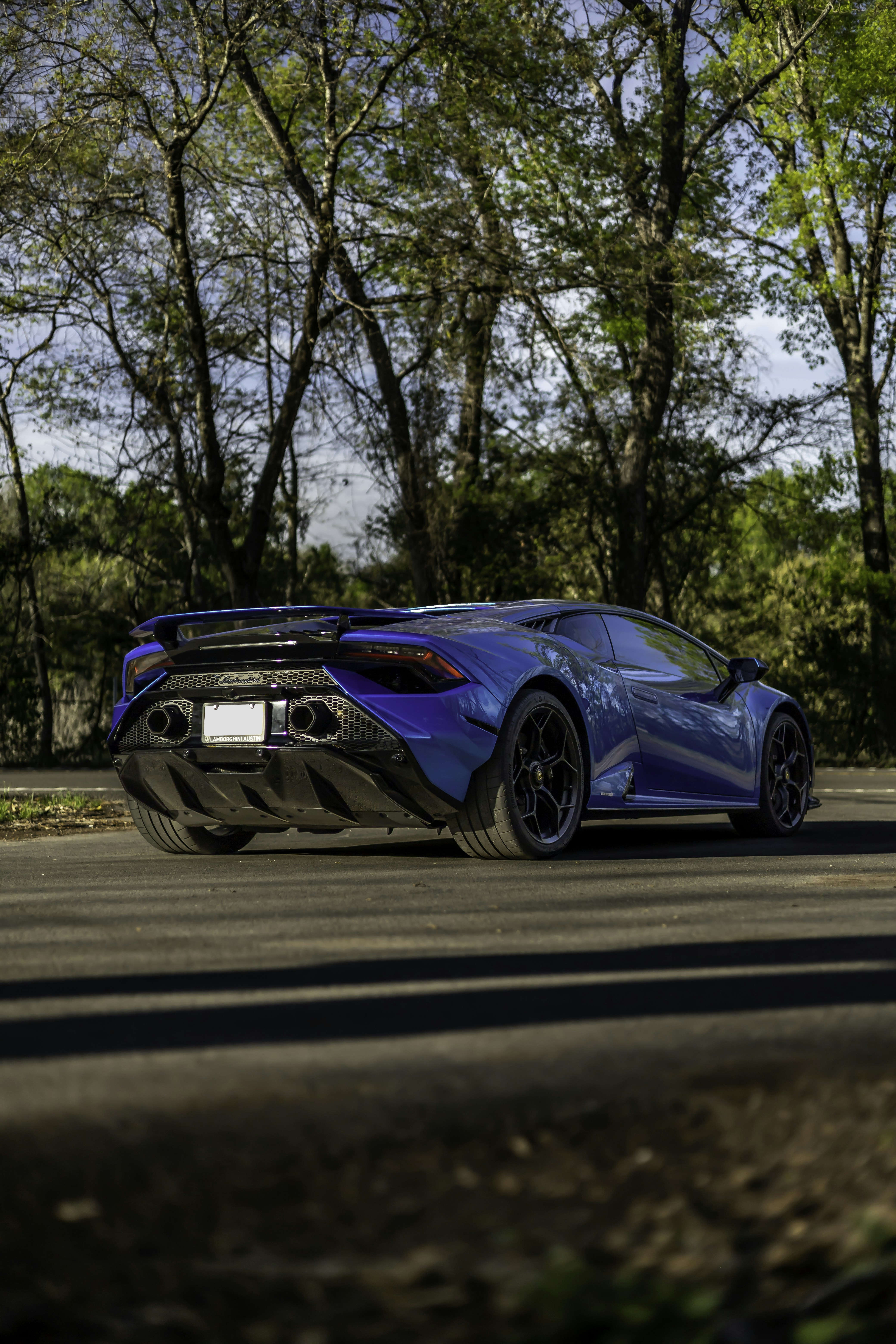 Photo by lonestarexotic