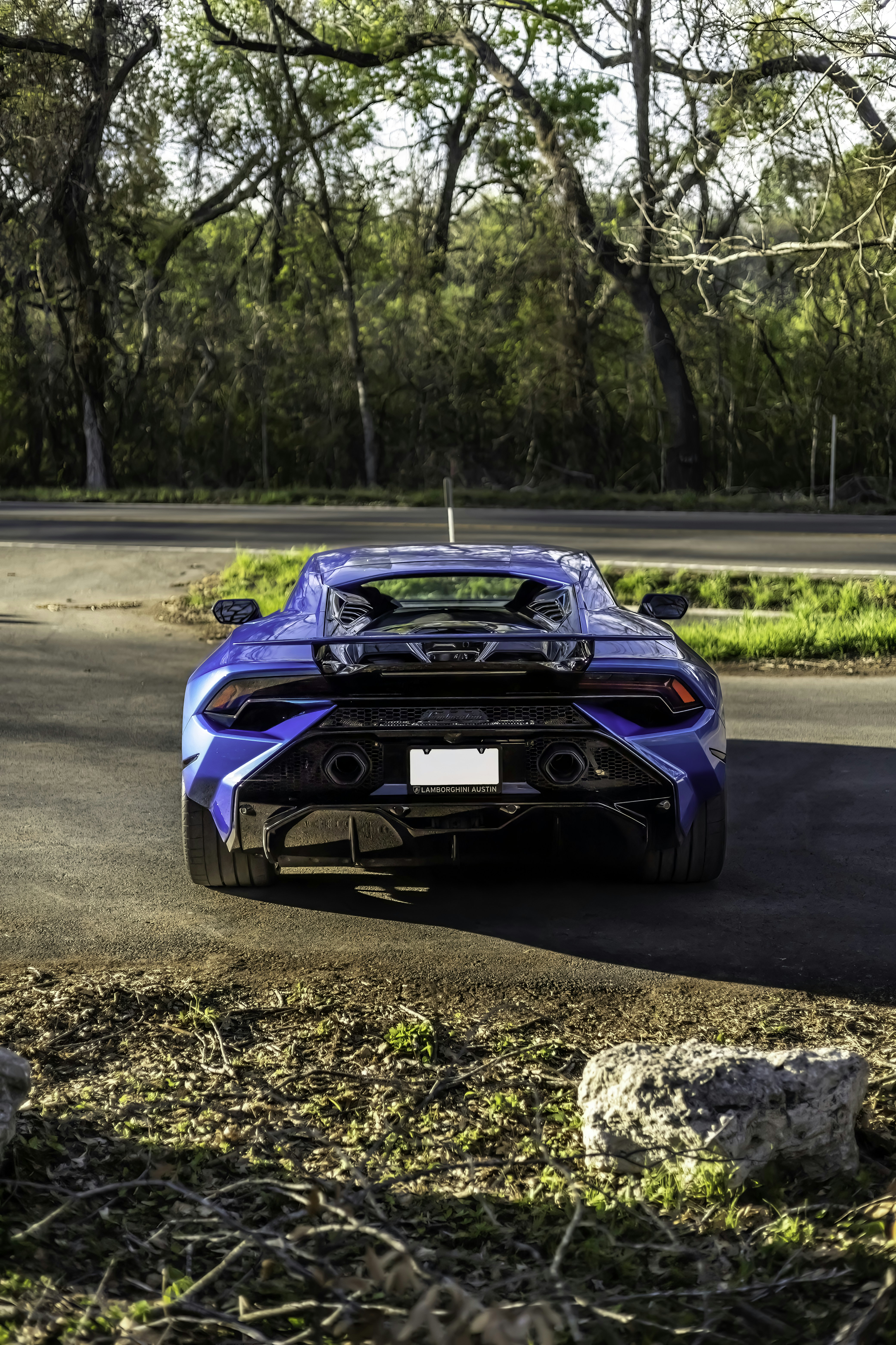 Photo by lonestarexotic