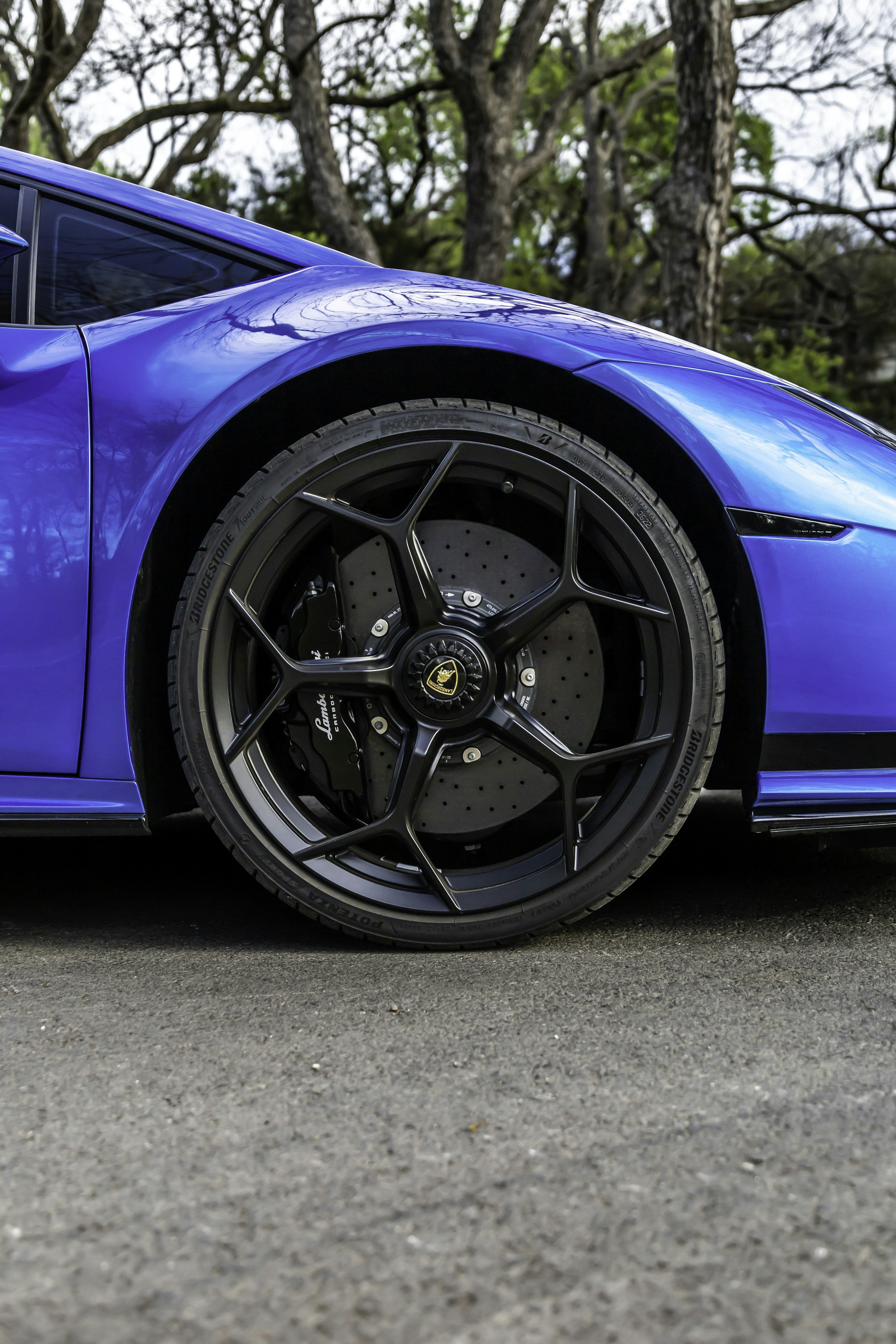 Photo by lonestarexotic