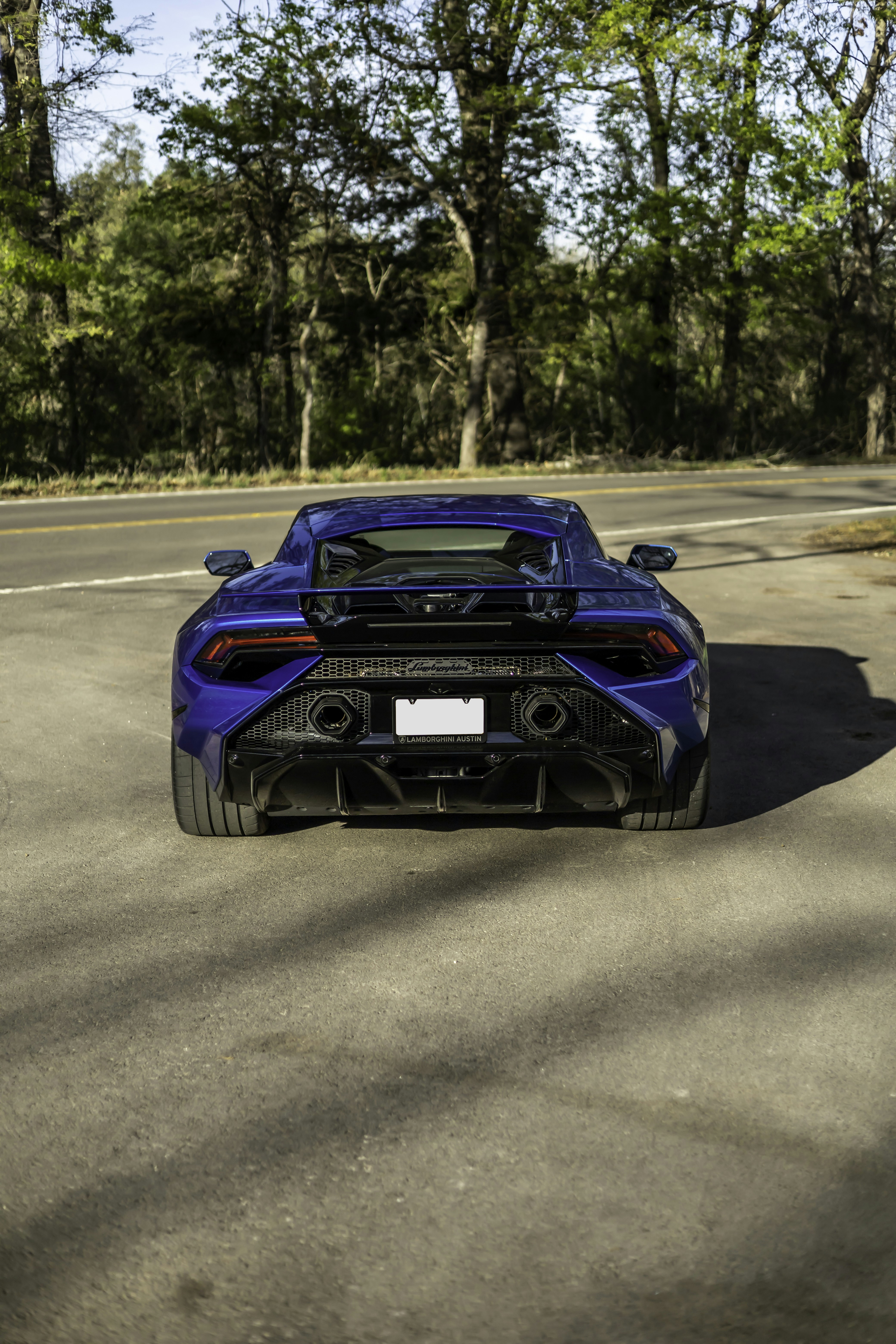 Photo by lonestarexotic