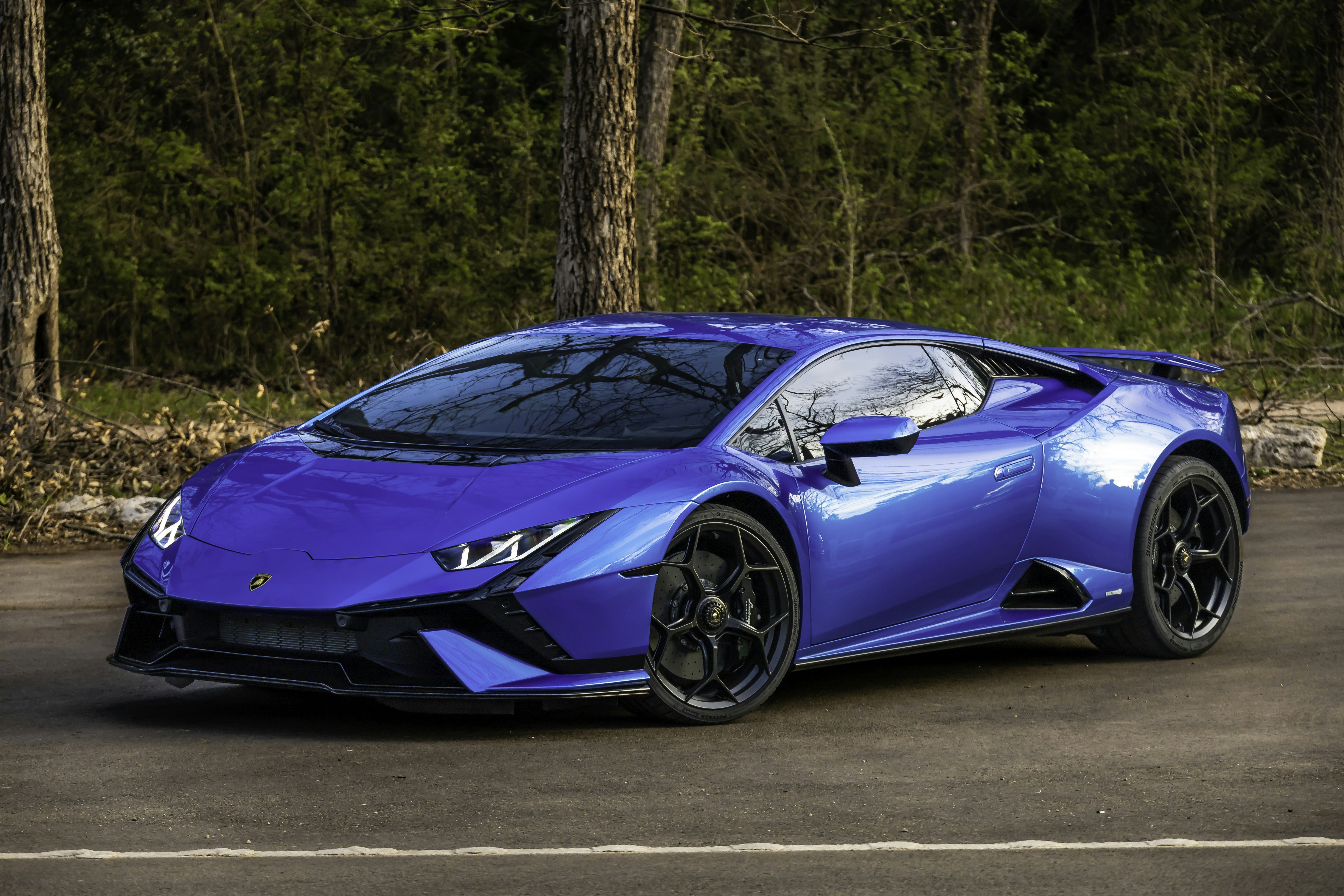 Photo by lonestarexotic