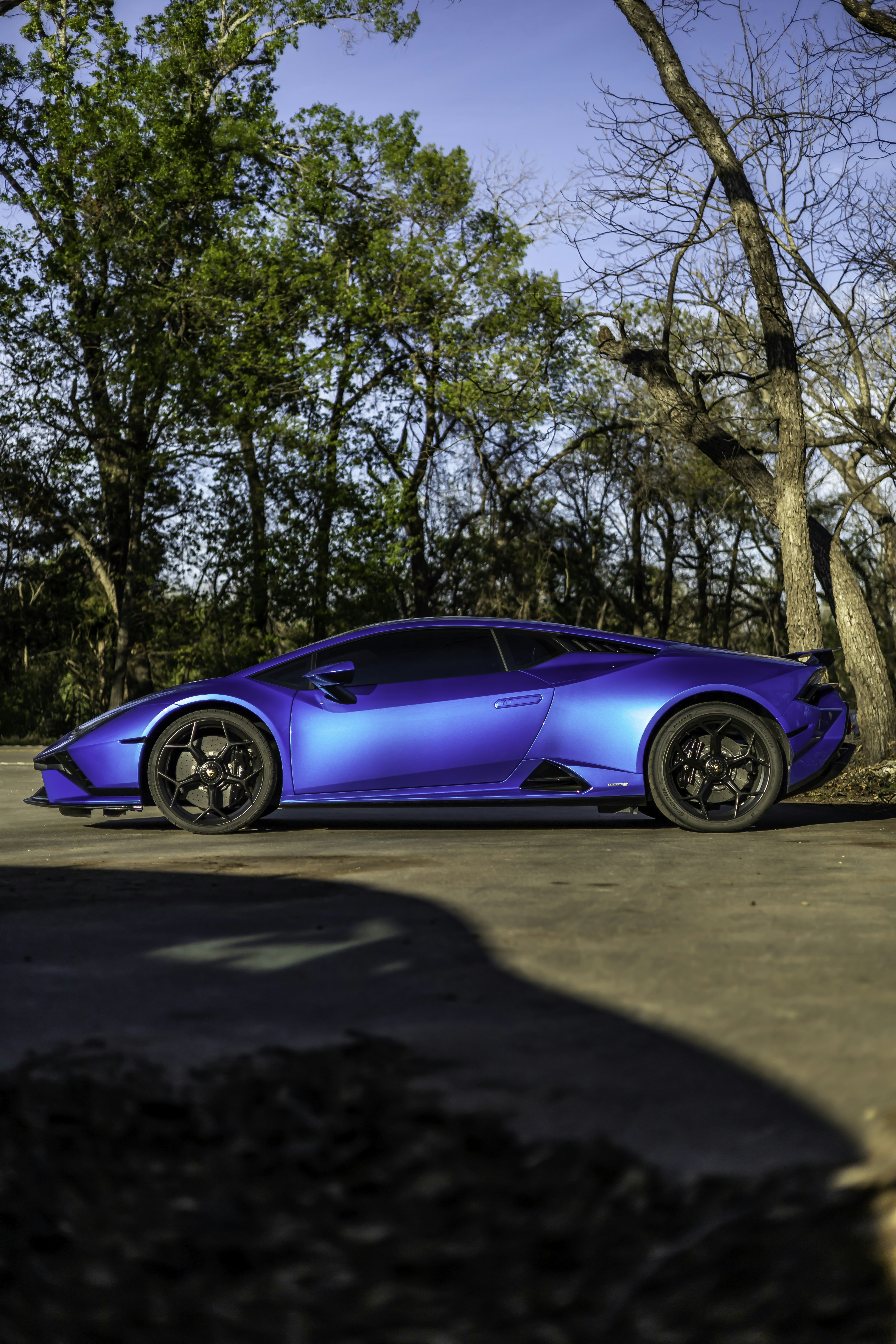 Photo by lonestarexotic