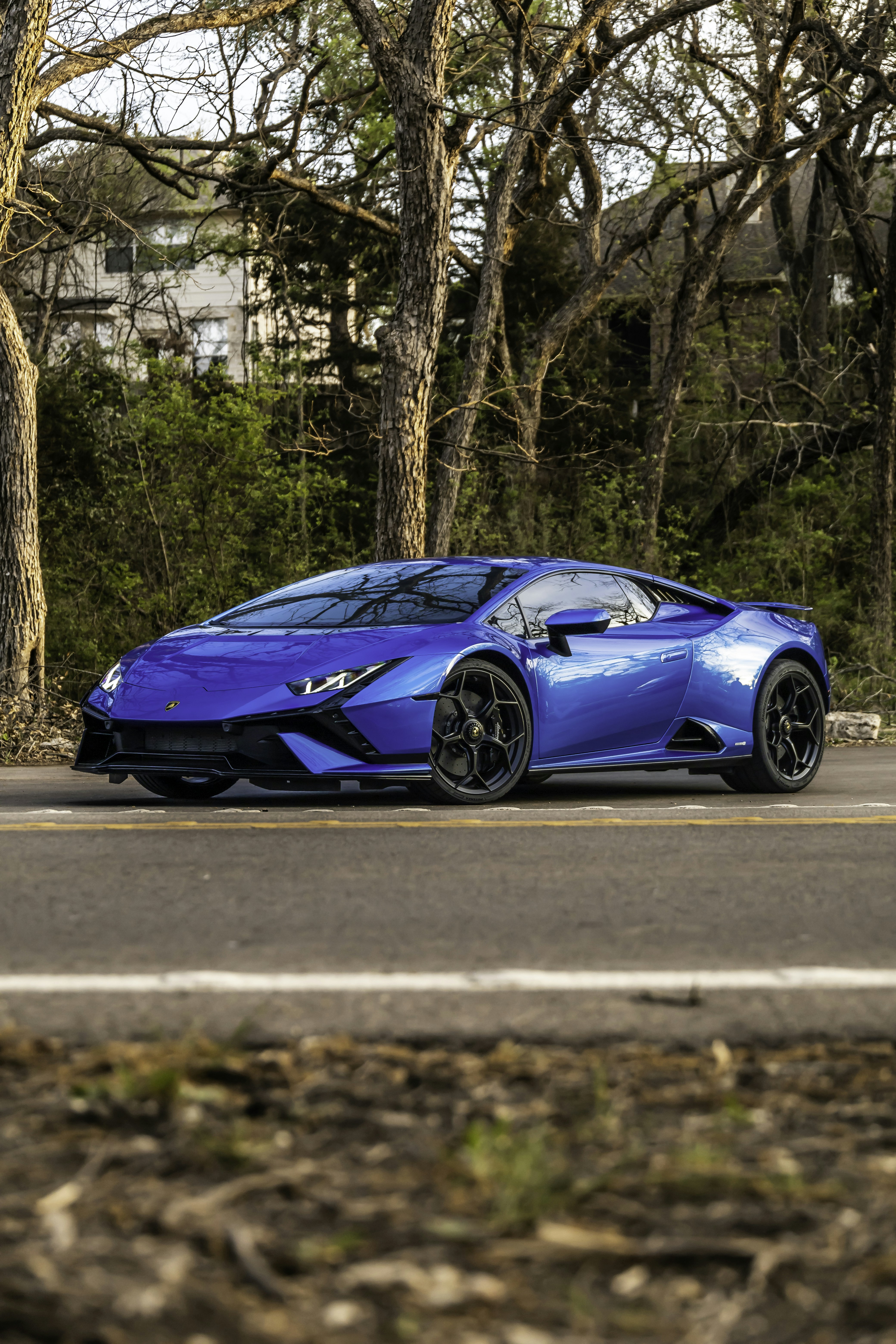 Photo by lonestarexotic