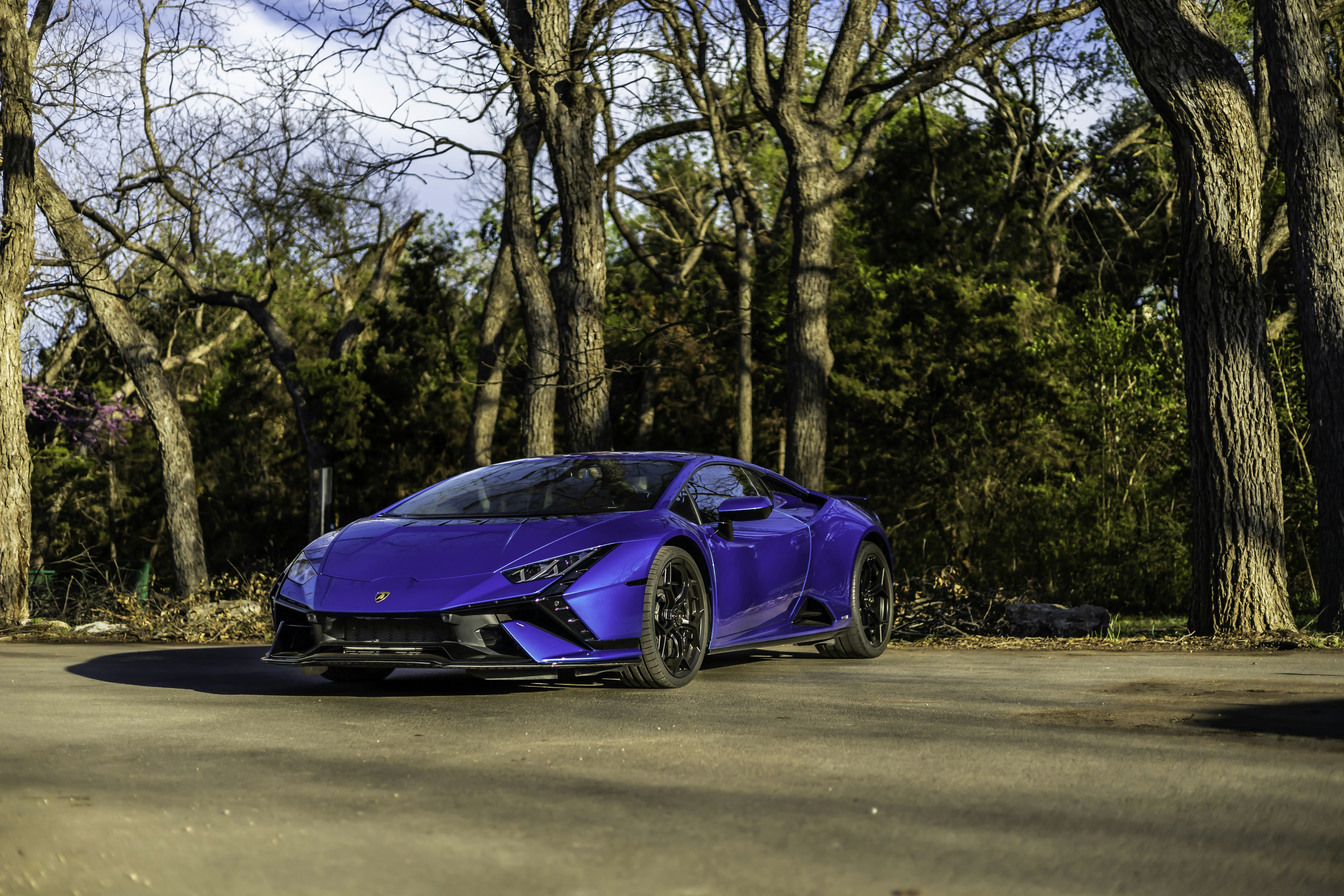 Photo by lonestarexotic