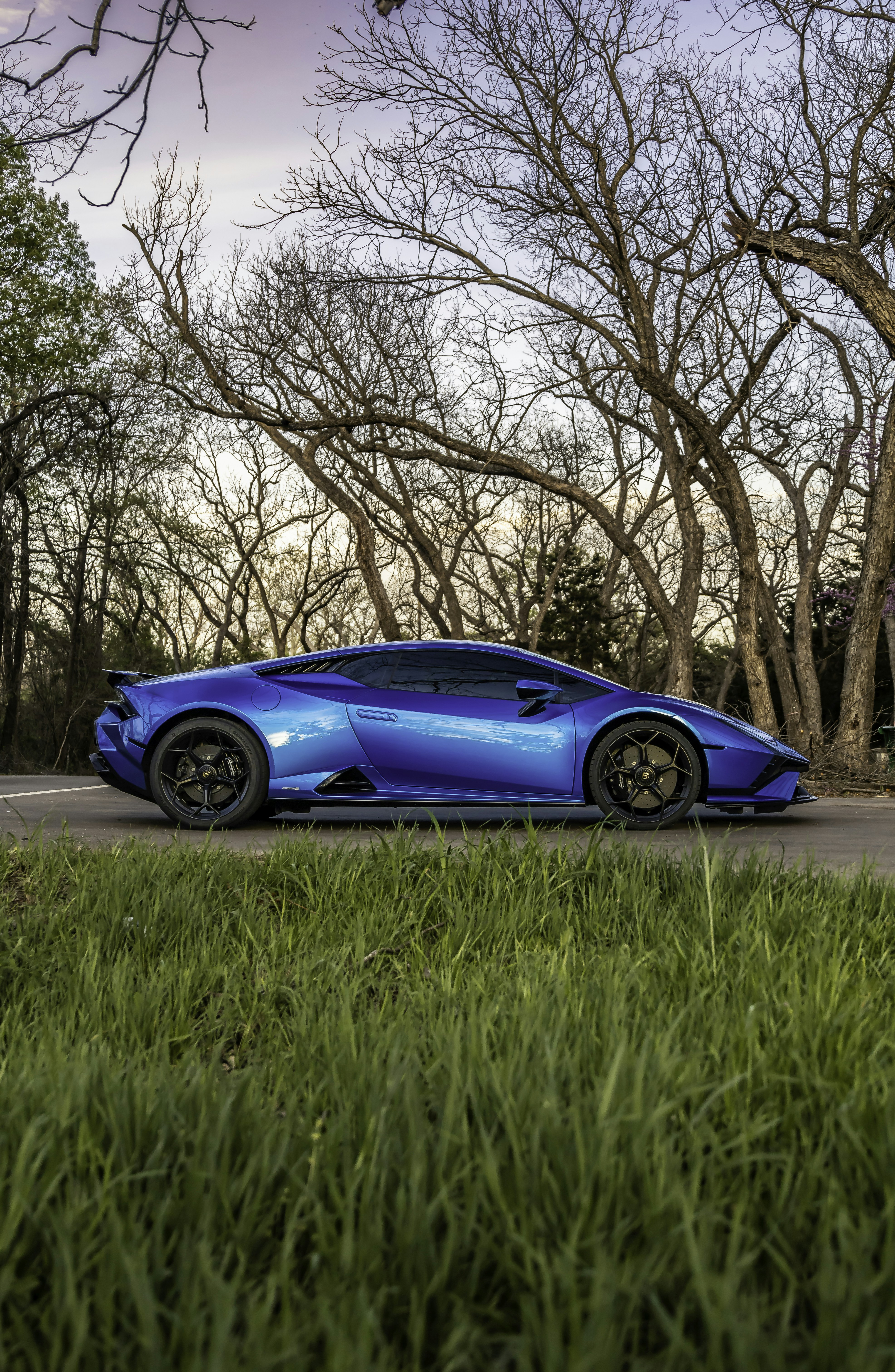 Photo by lonestarexotic