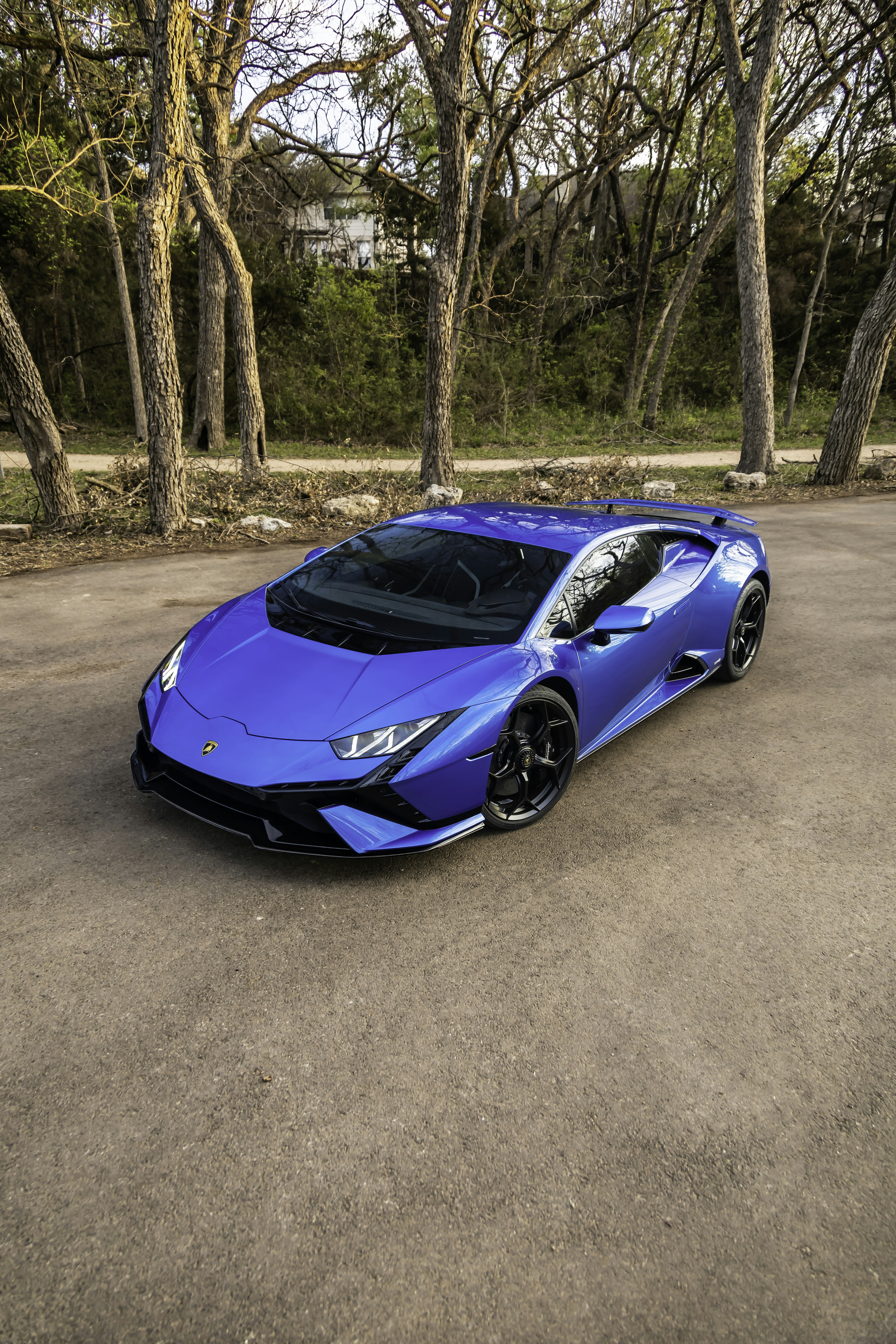 Photo by lonestarexotic