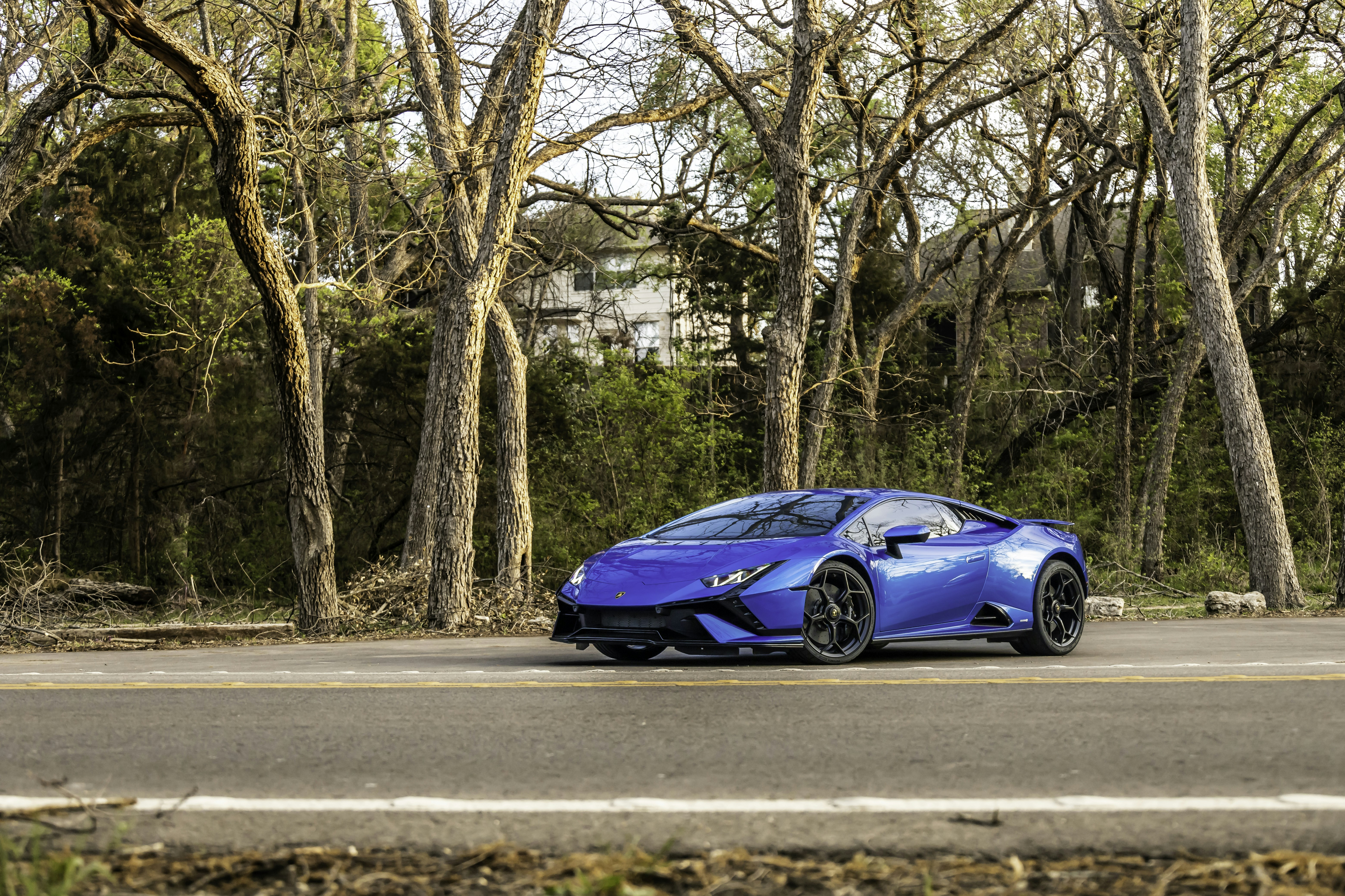 Photo by lonestarexotic