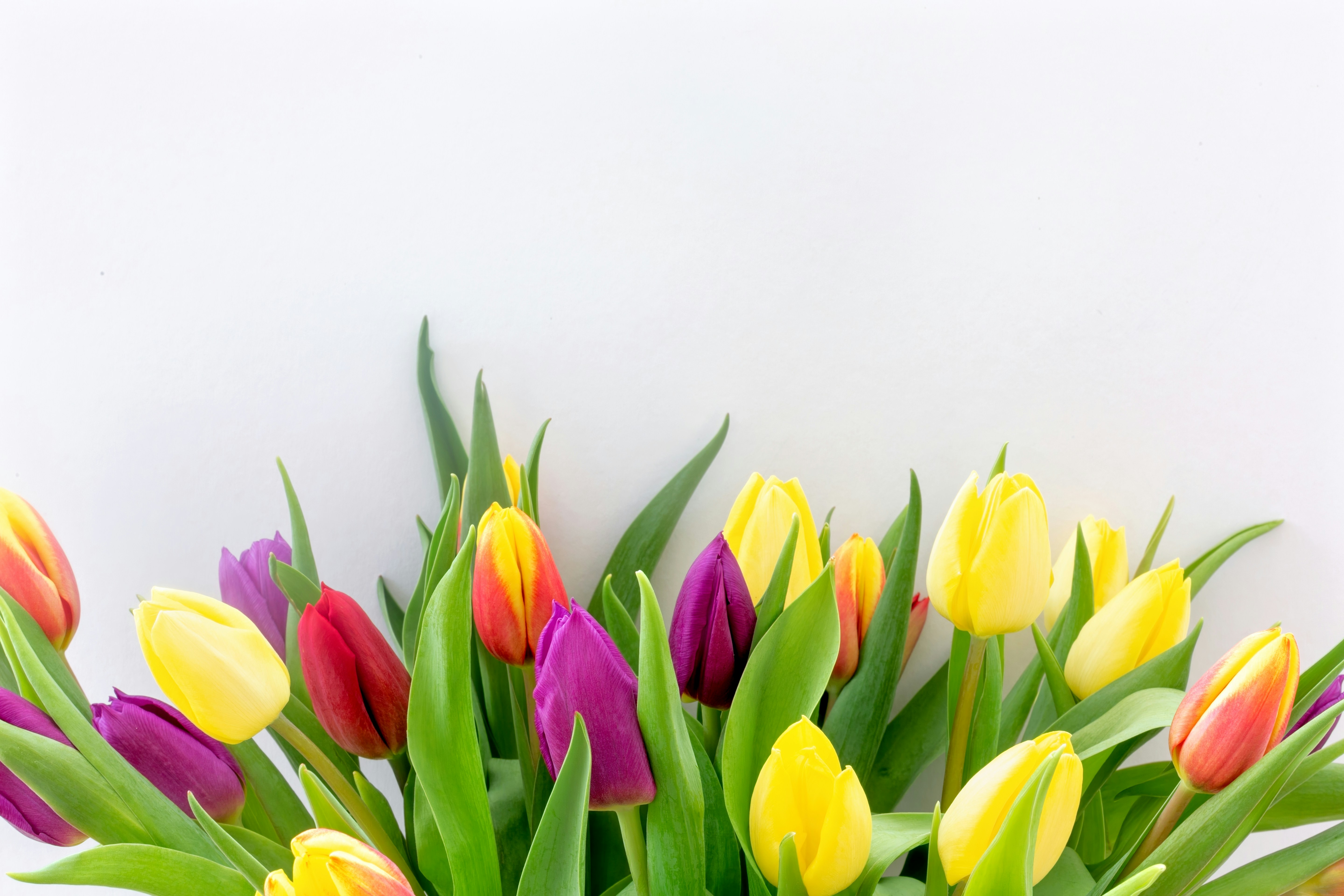 Photo by nataliekinnear