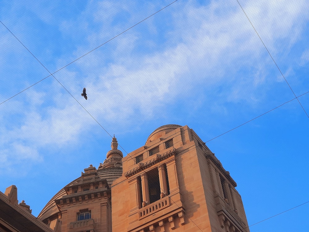 Un pájaro está sentado en un cable frente a un edificio