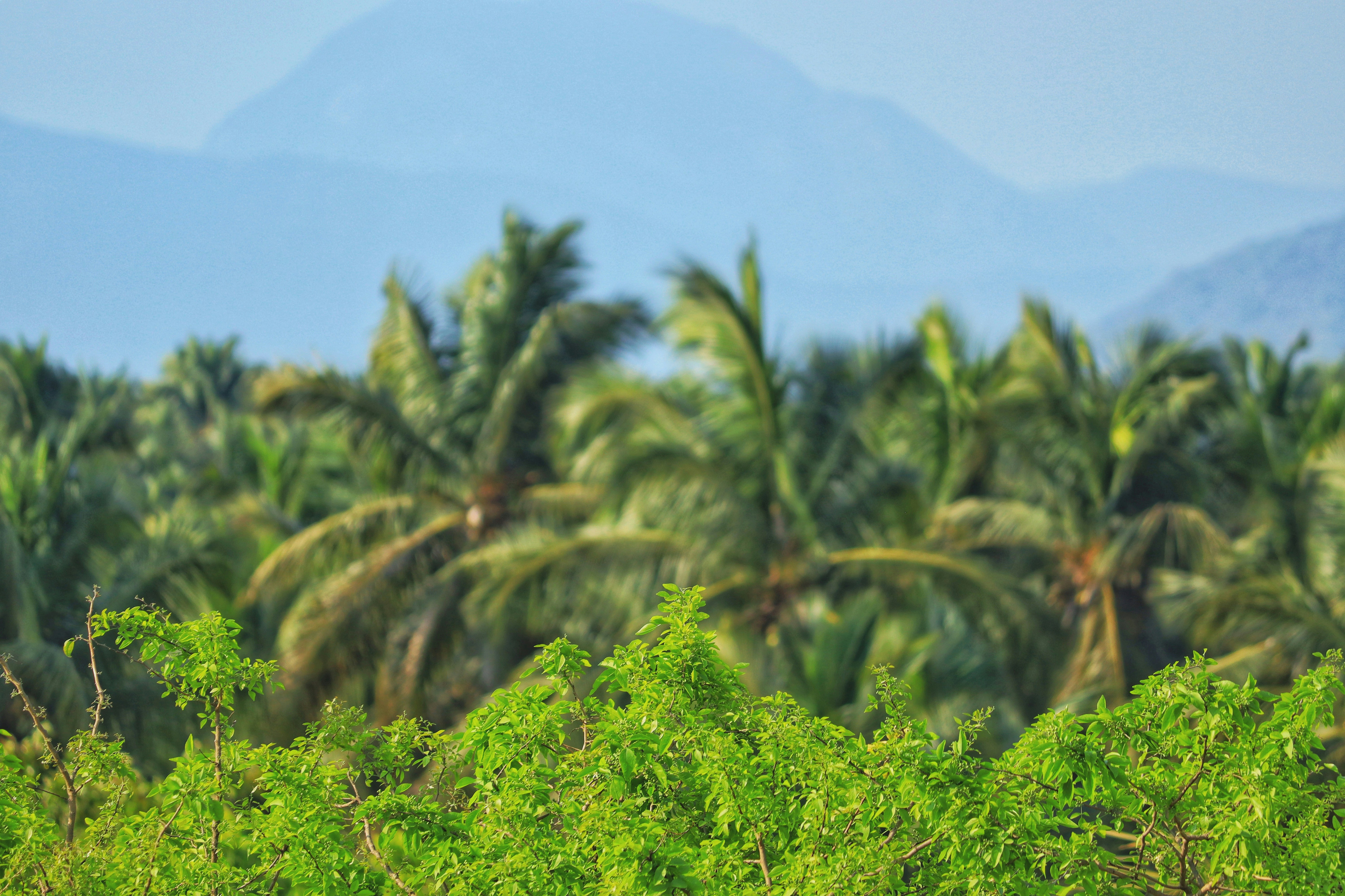 Photo by rameshk1912