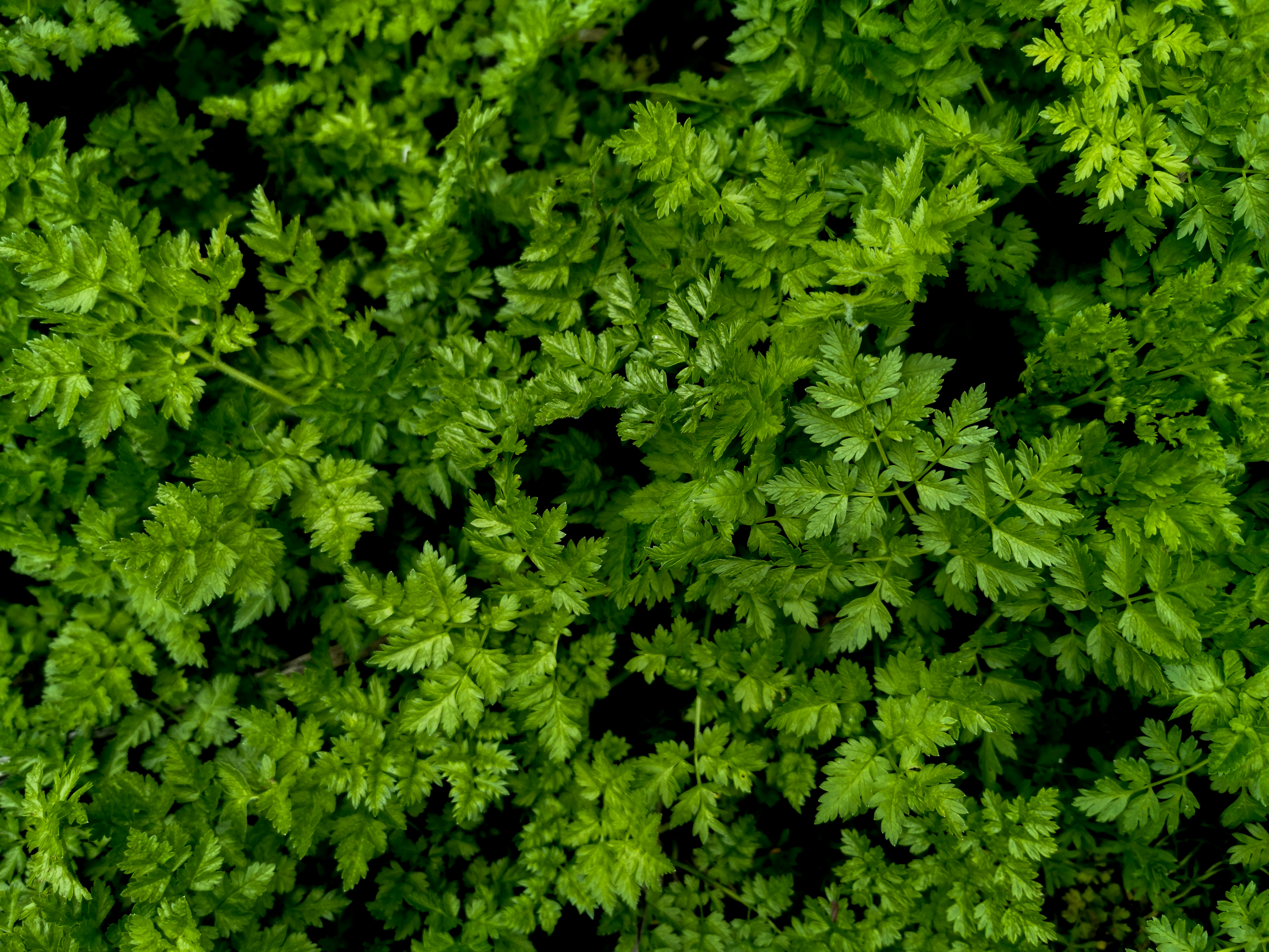 Photo by nazisrayelyan