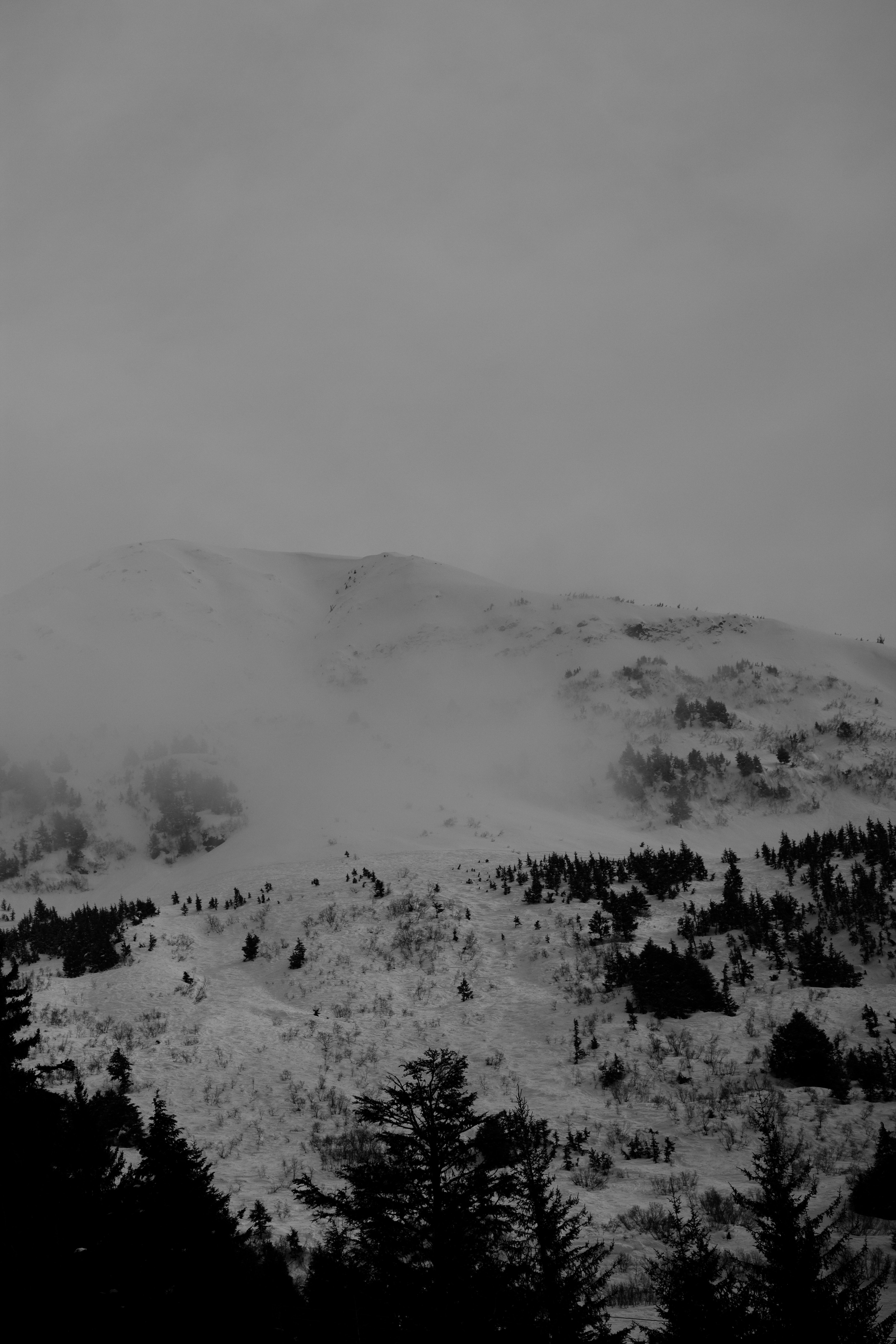 Photo by fickesphotos