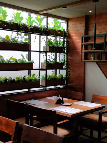 A cozy wooden dining table set in a sunlit room with leafy plants around.