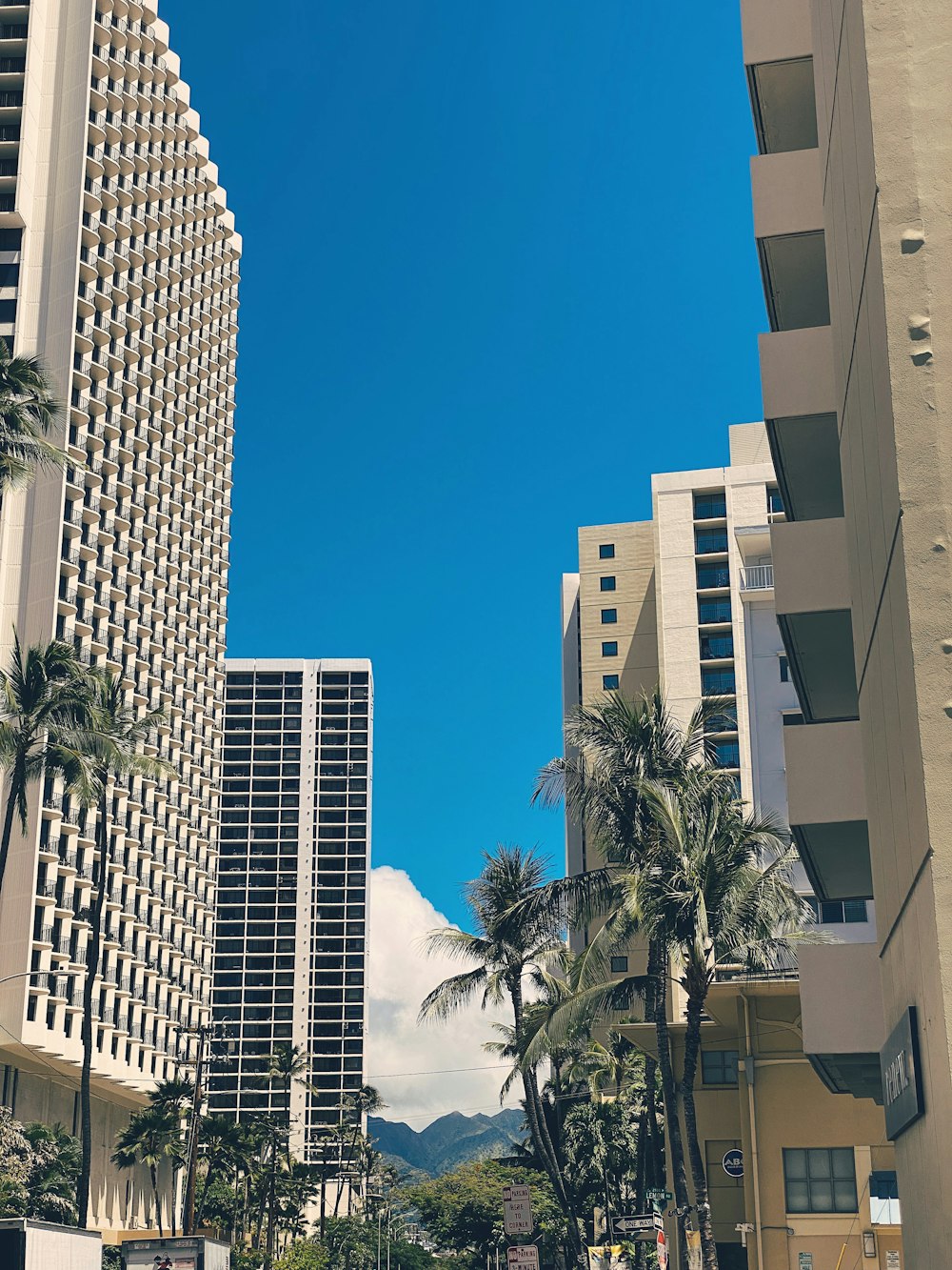 a city street lined with tall buildings and palm trees