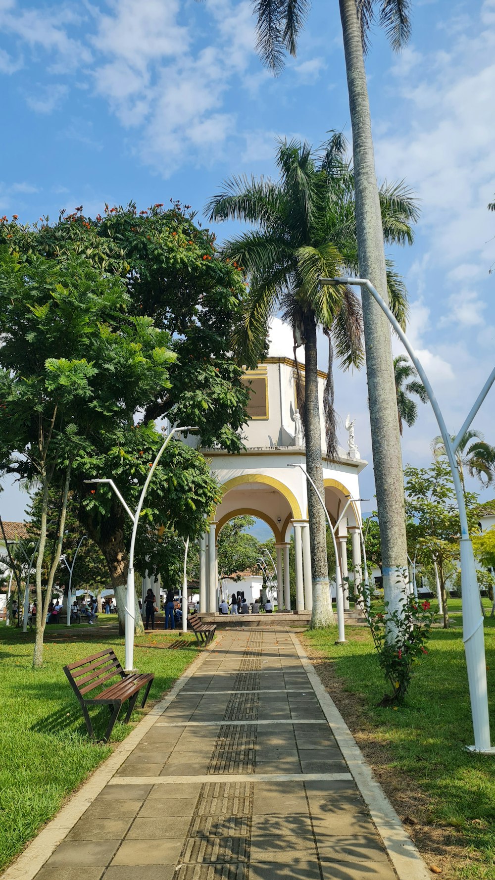 a park with a bench and palm trees