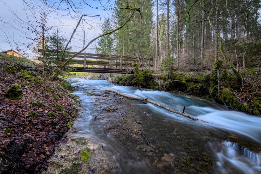 a river running through a forest next to a bridge