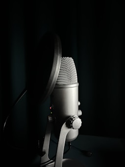 A professional microphone with a pop filter is positioned in a dimly lit setting, casting a dramatic shadow. The microphone has a metallic finish and intricate mesh at the top.